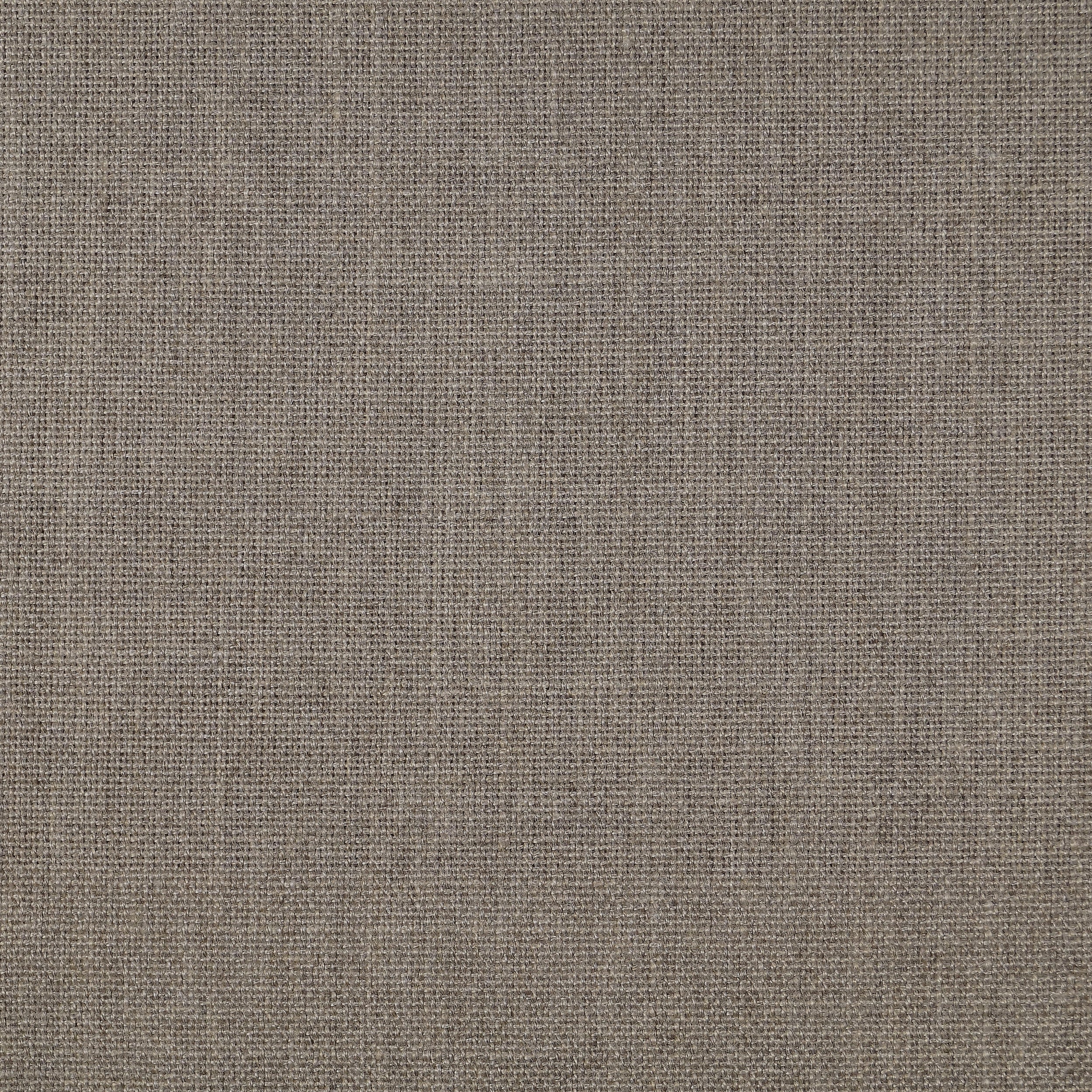 Birch 116