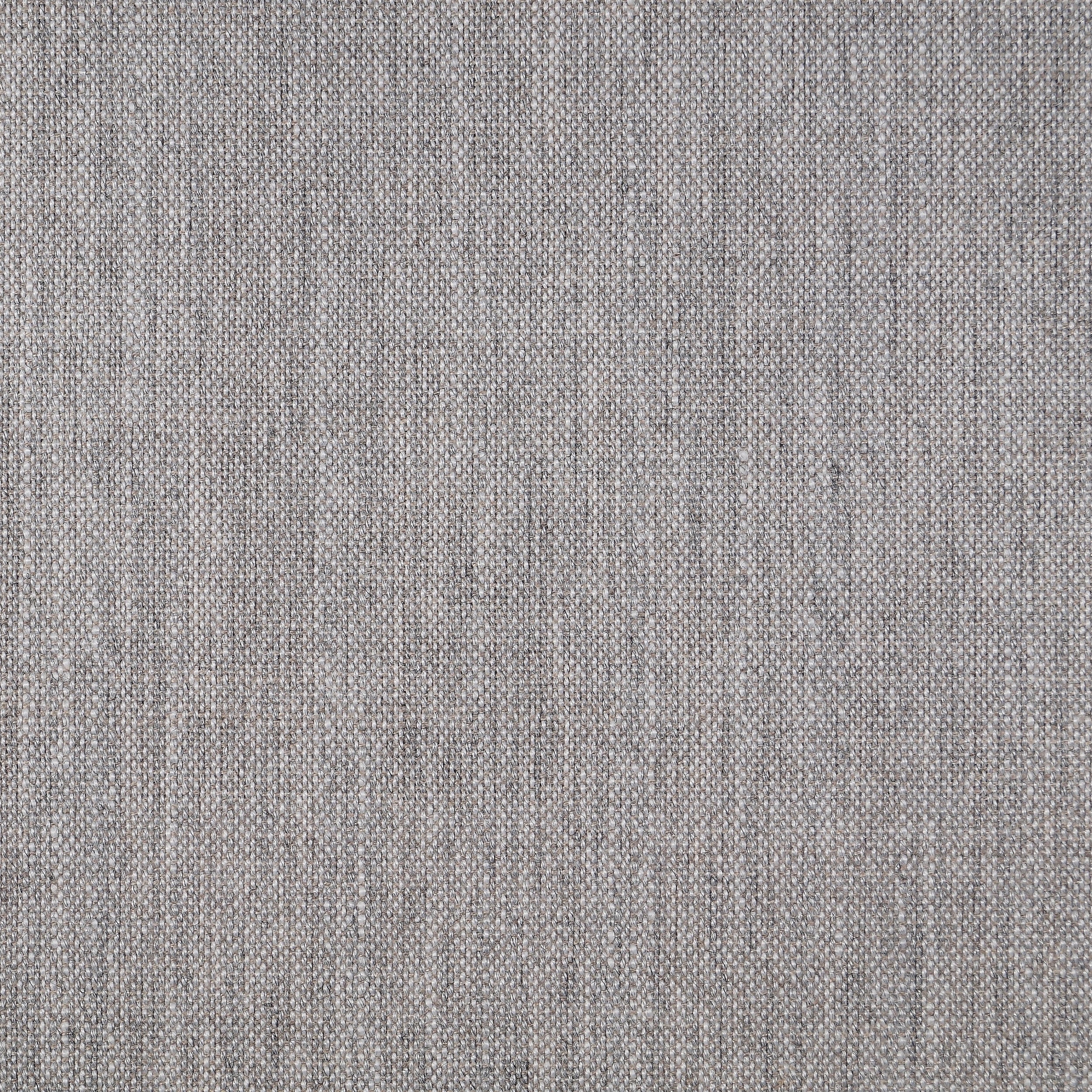 Birch 119