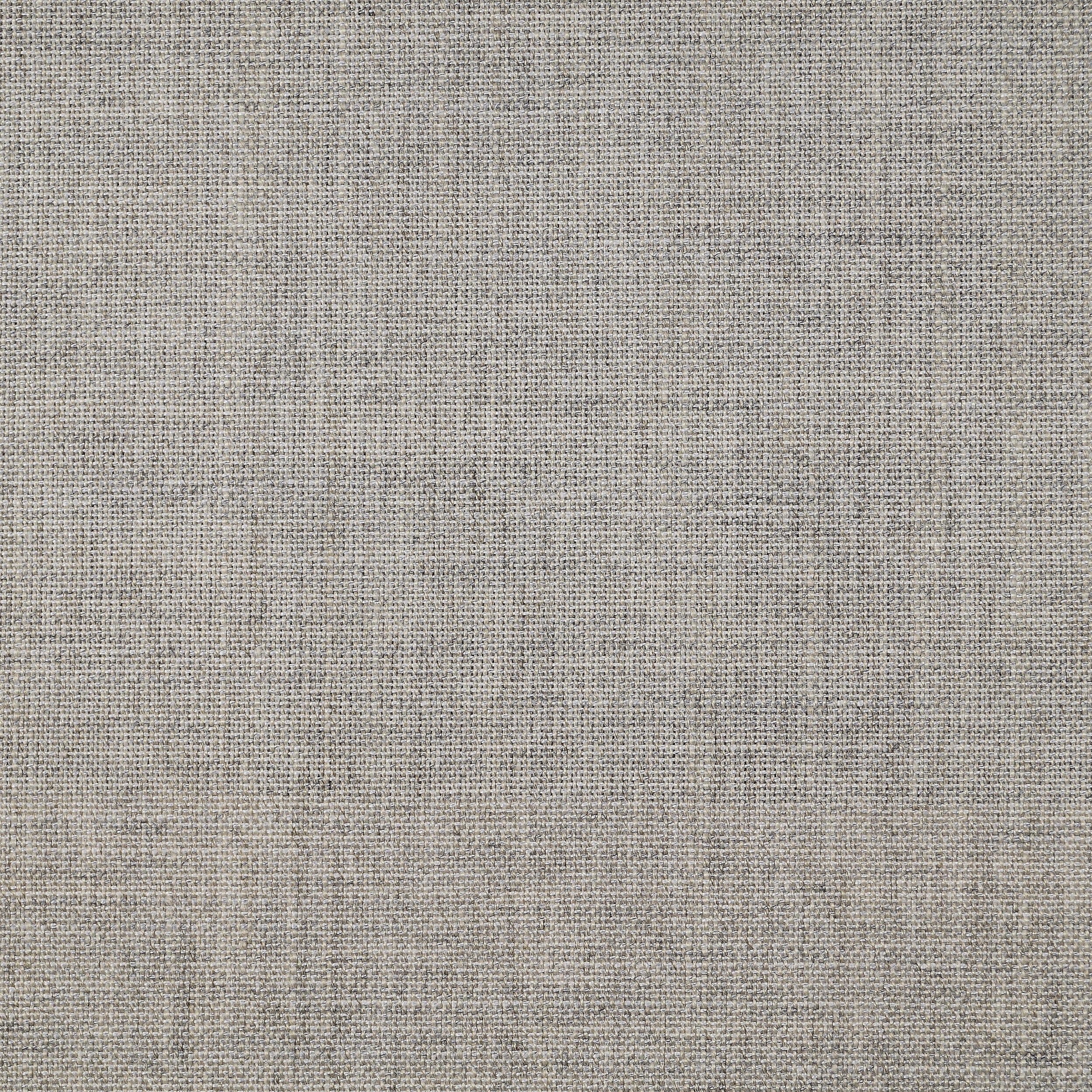 Birch 120
