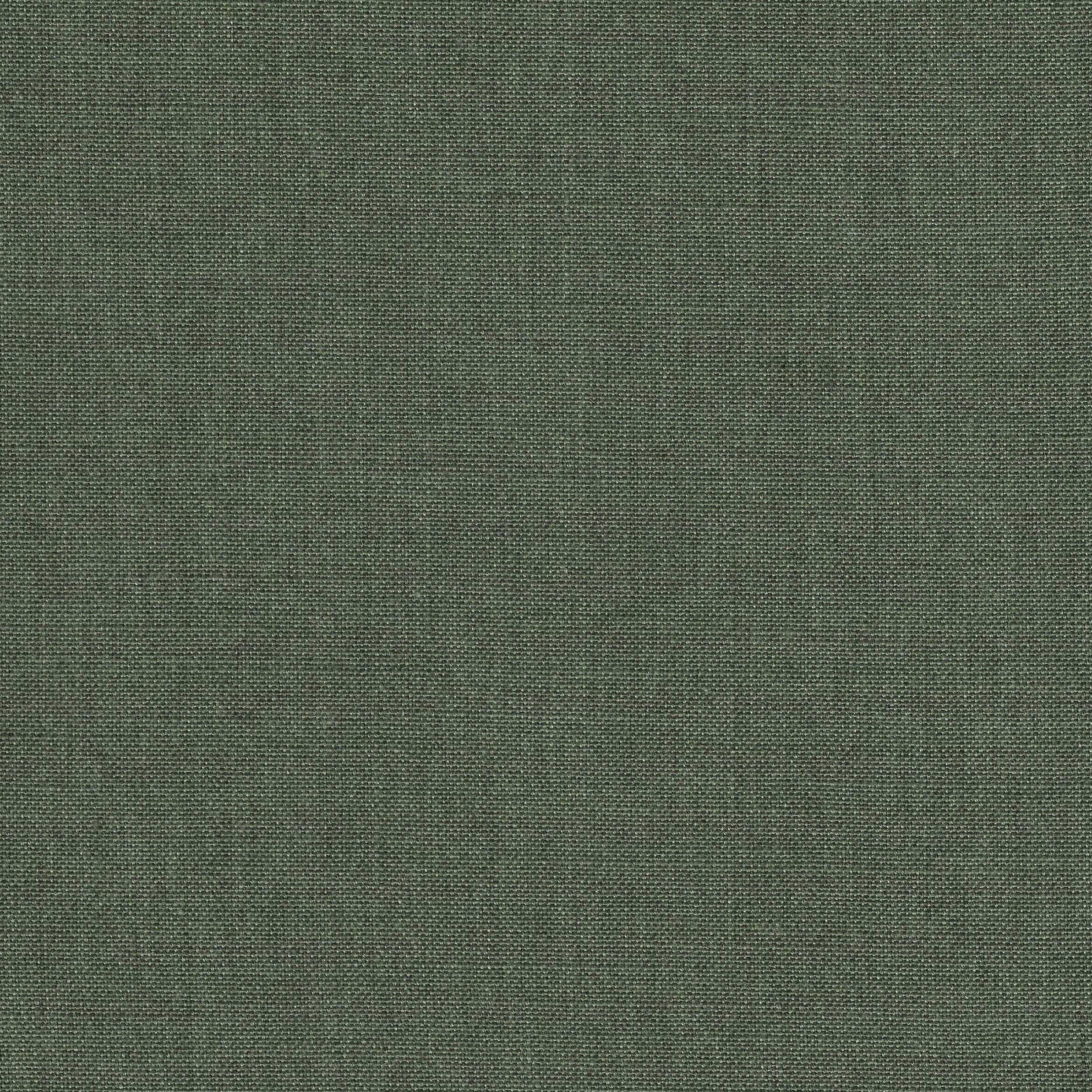 Birch 123