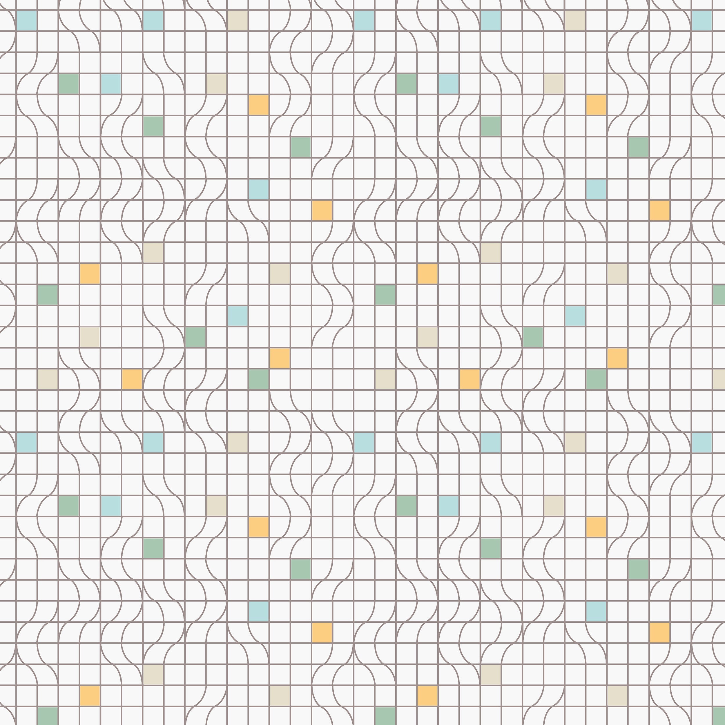 Circus 403