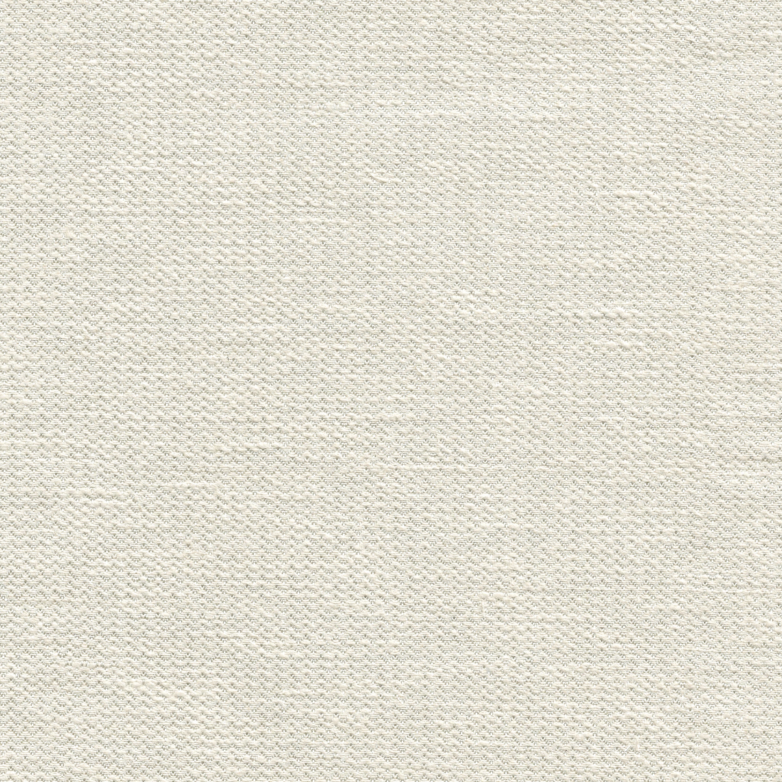 Fossil 5