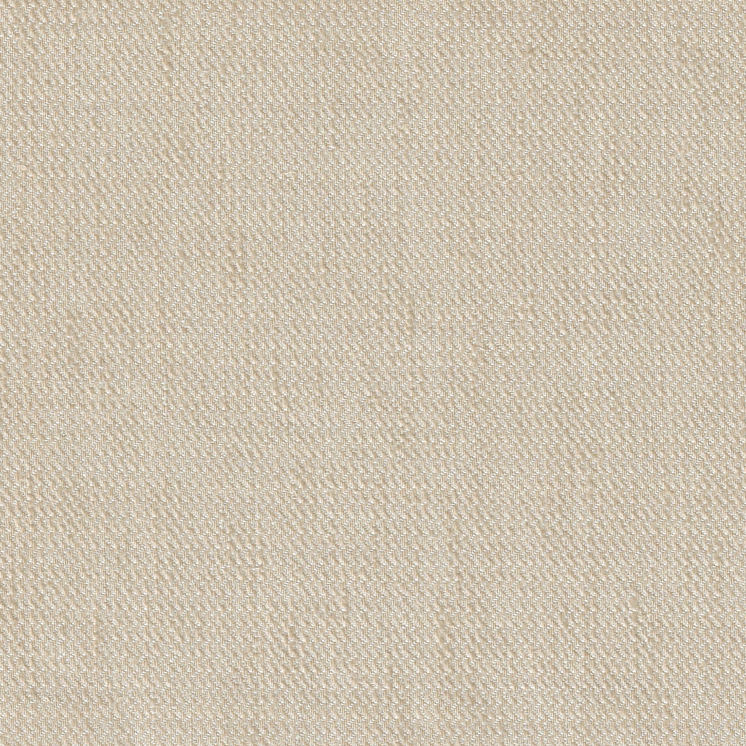Fossil 10