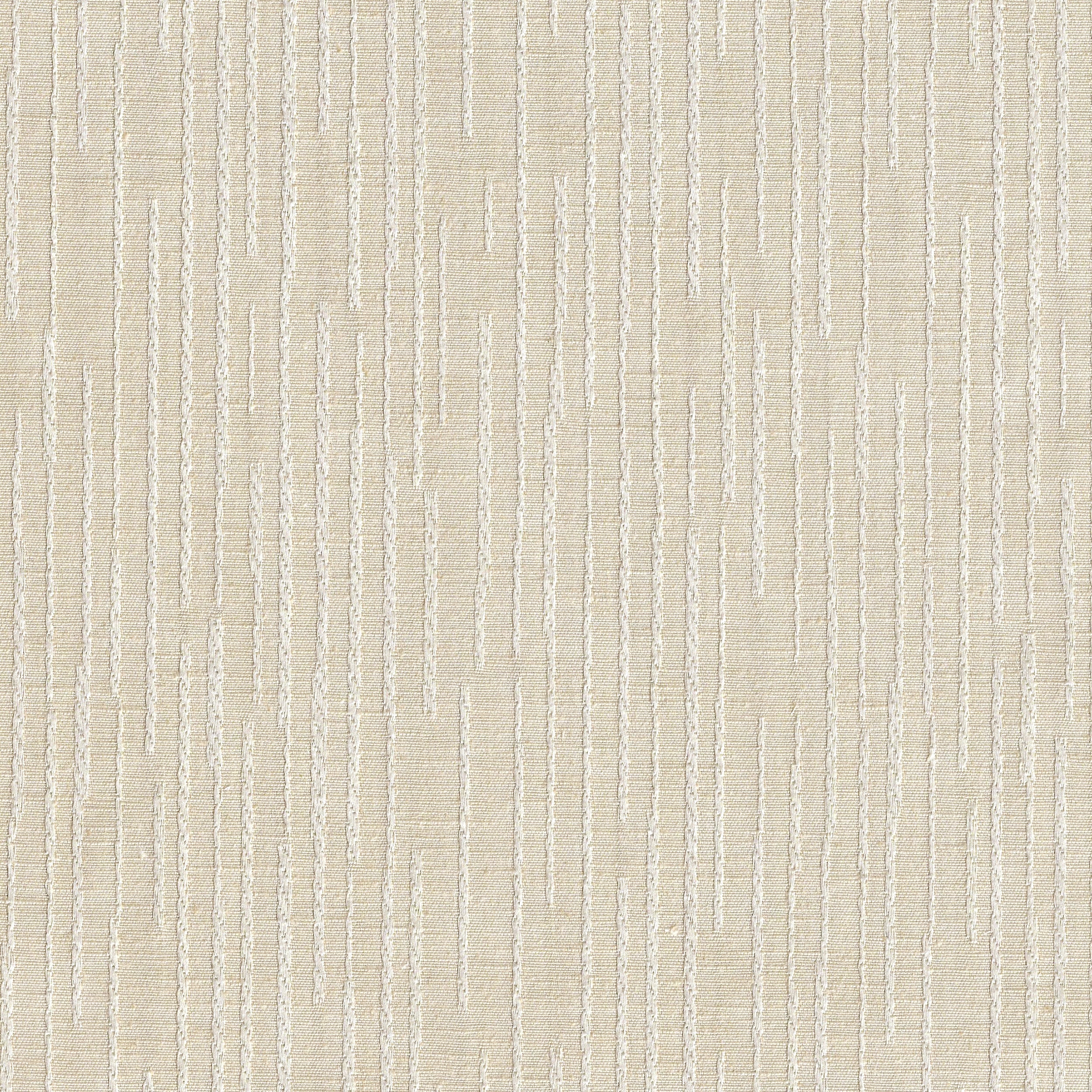 Fossil 11