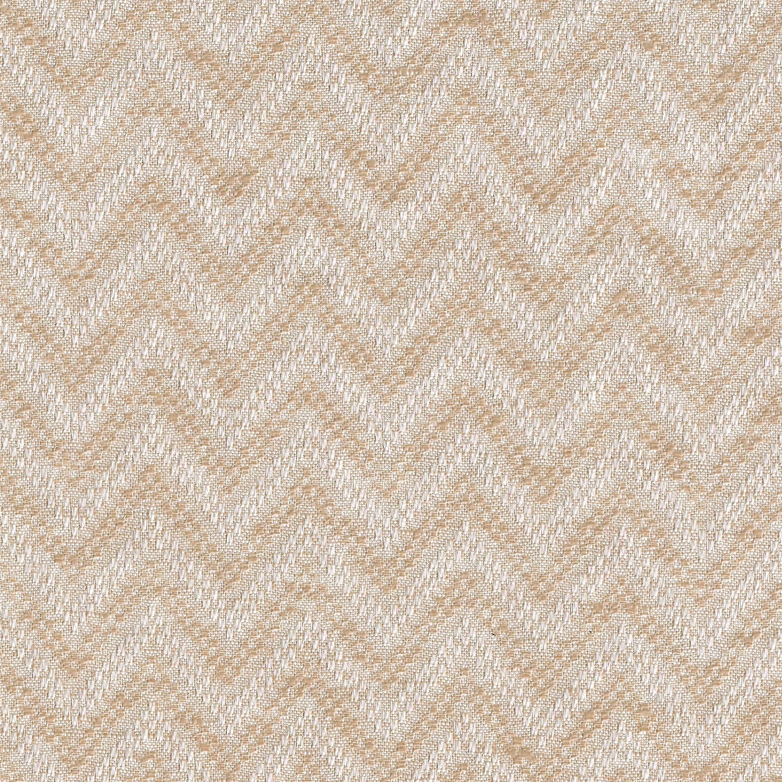 Fossil 13
