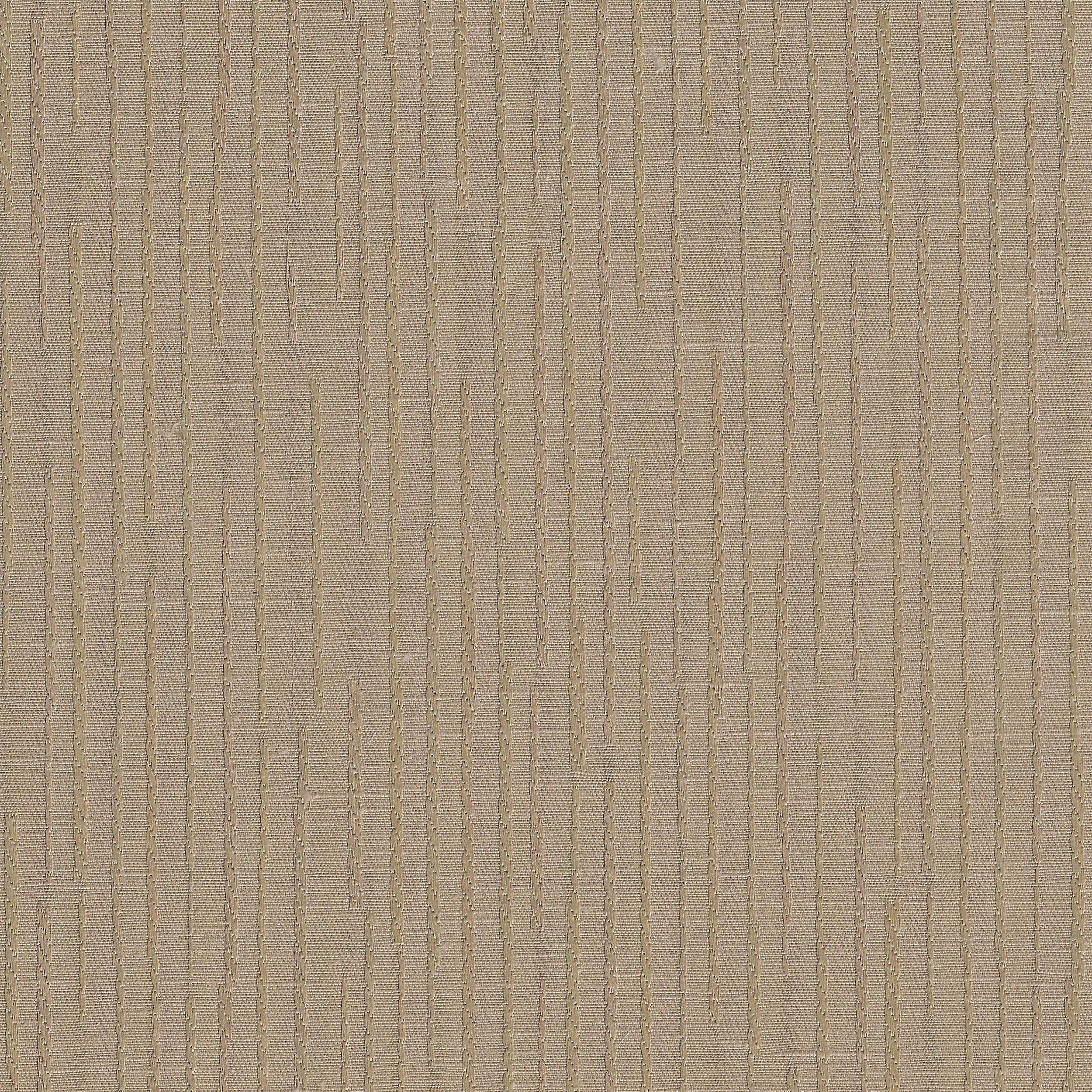 Fossil 21