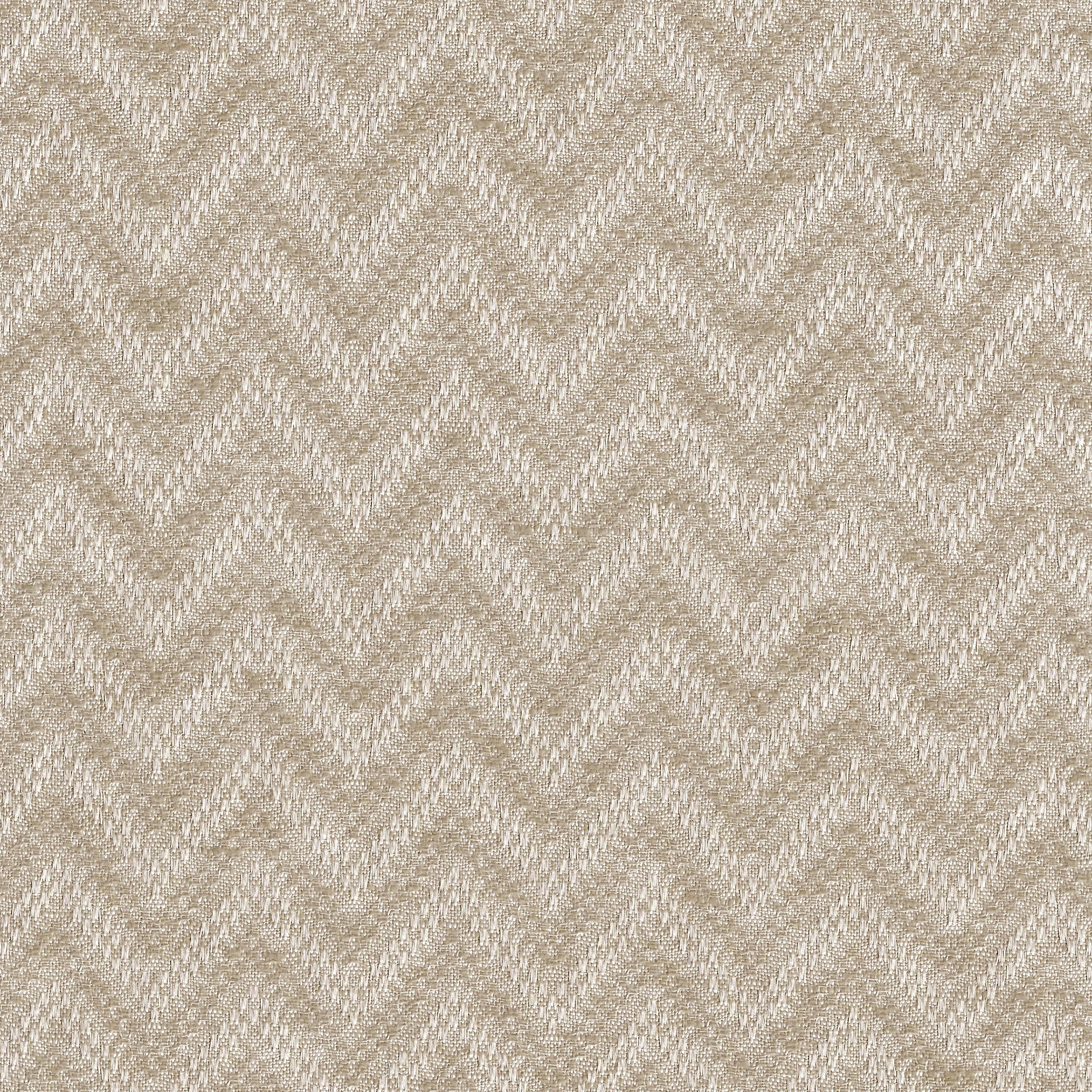 Fossil 23