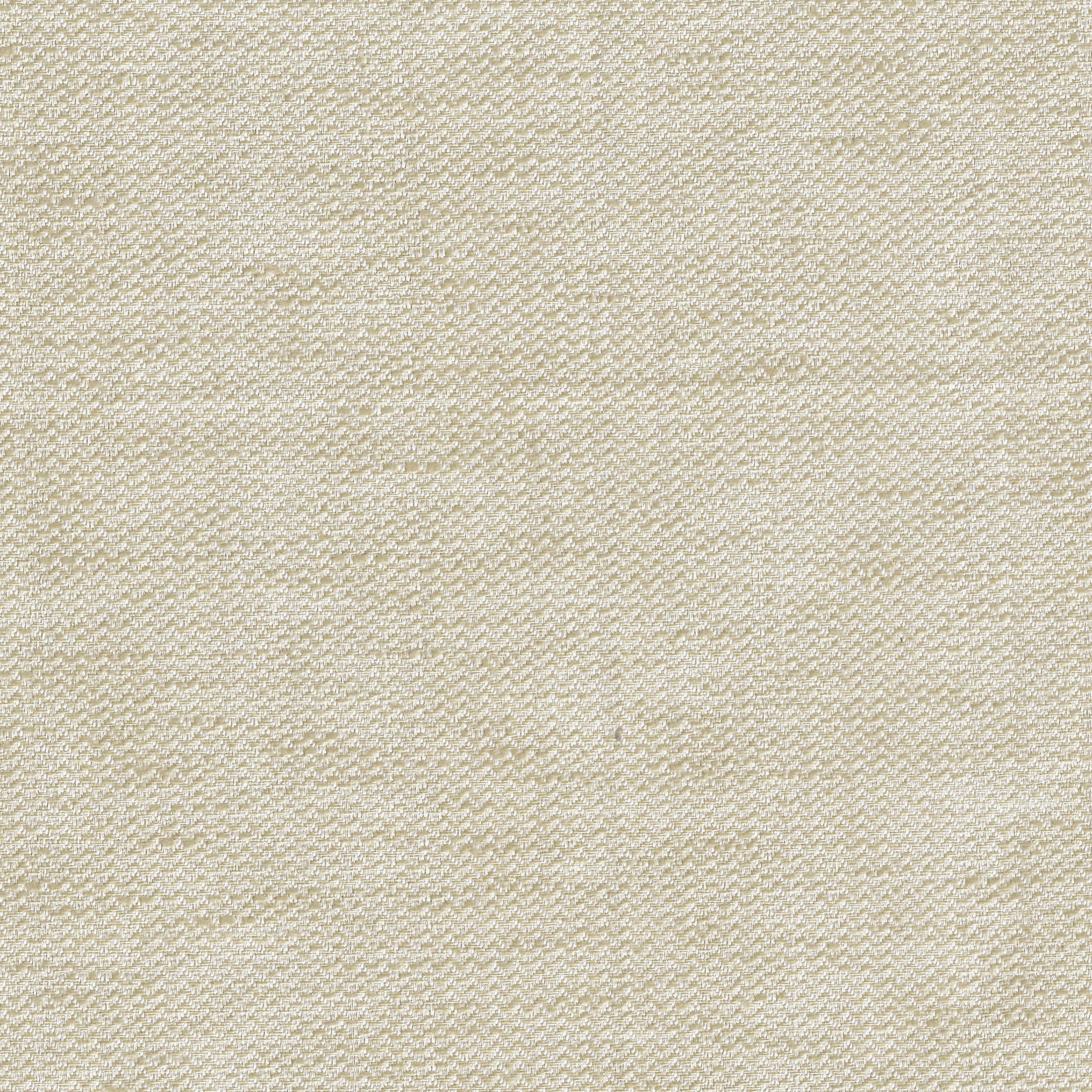 Fossil 25