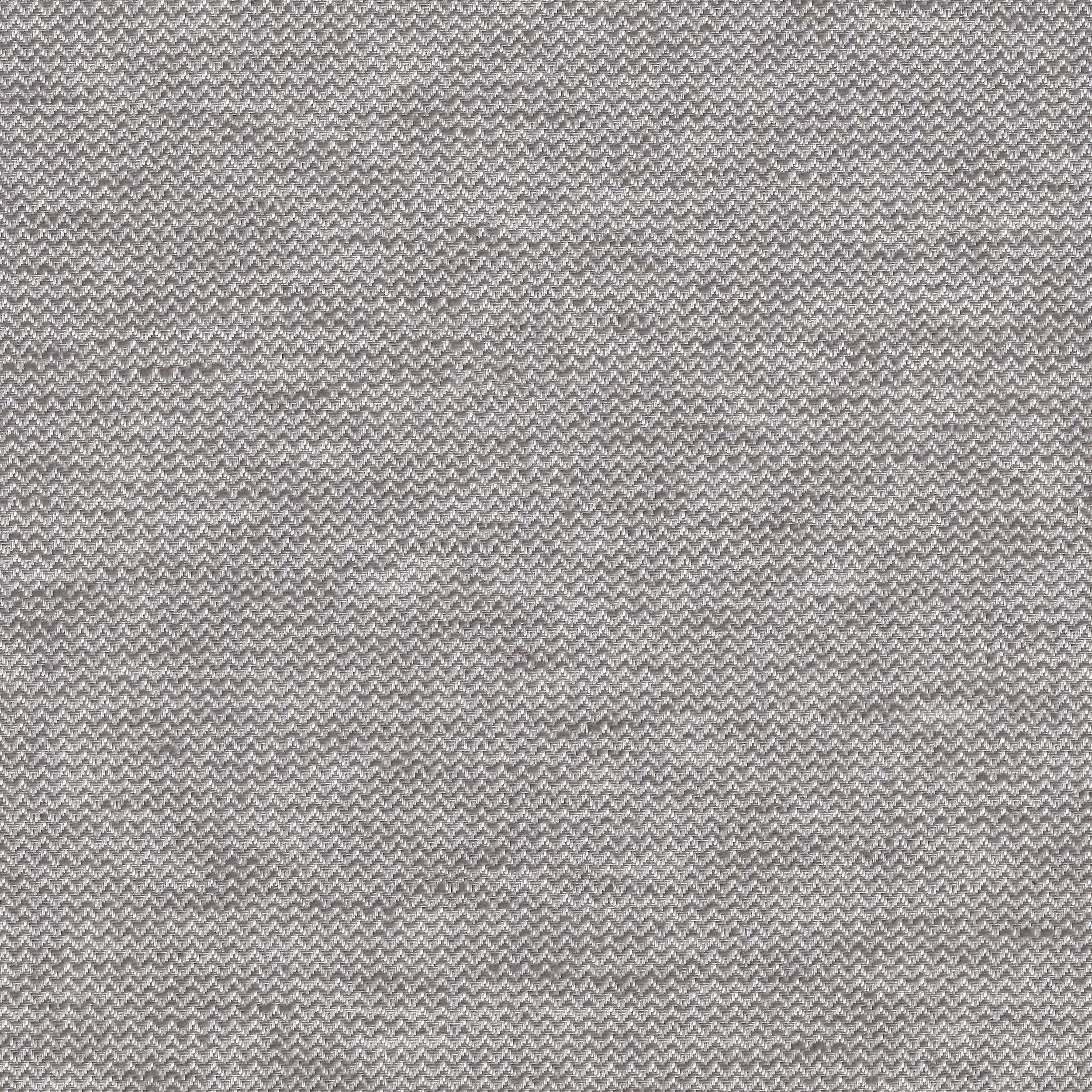 Fossil 29
