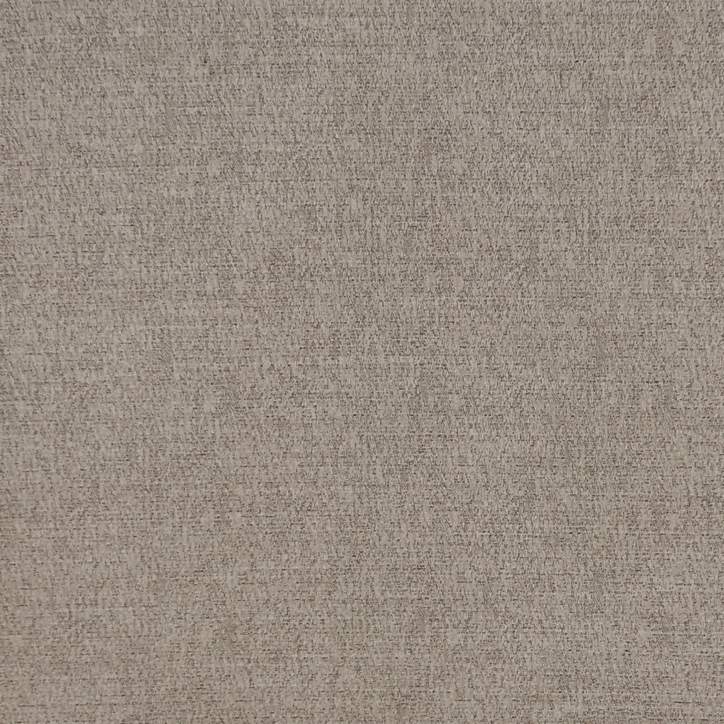 Gaze 221