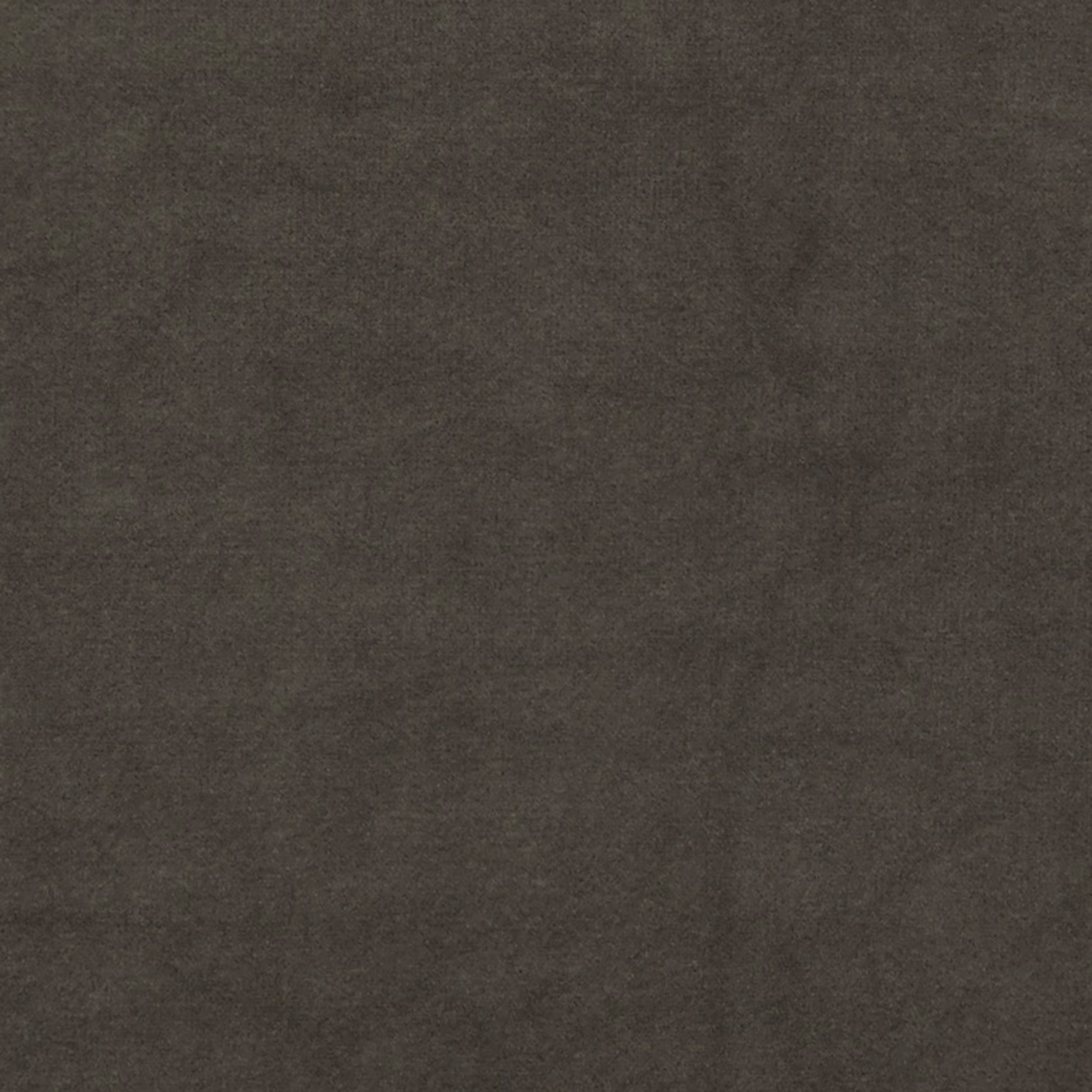 Grass 10