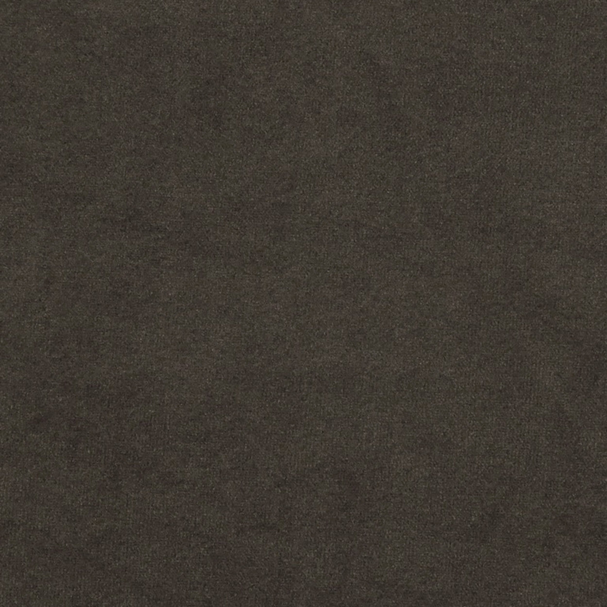Grass 11