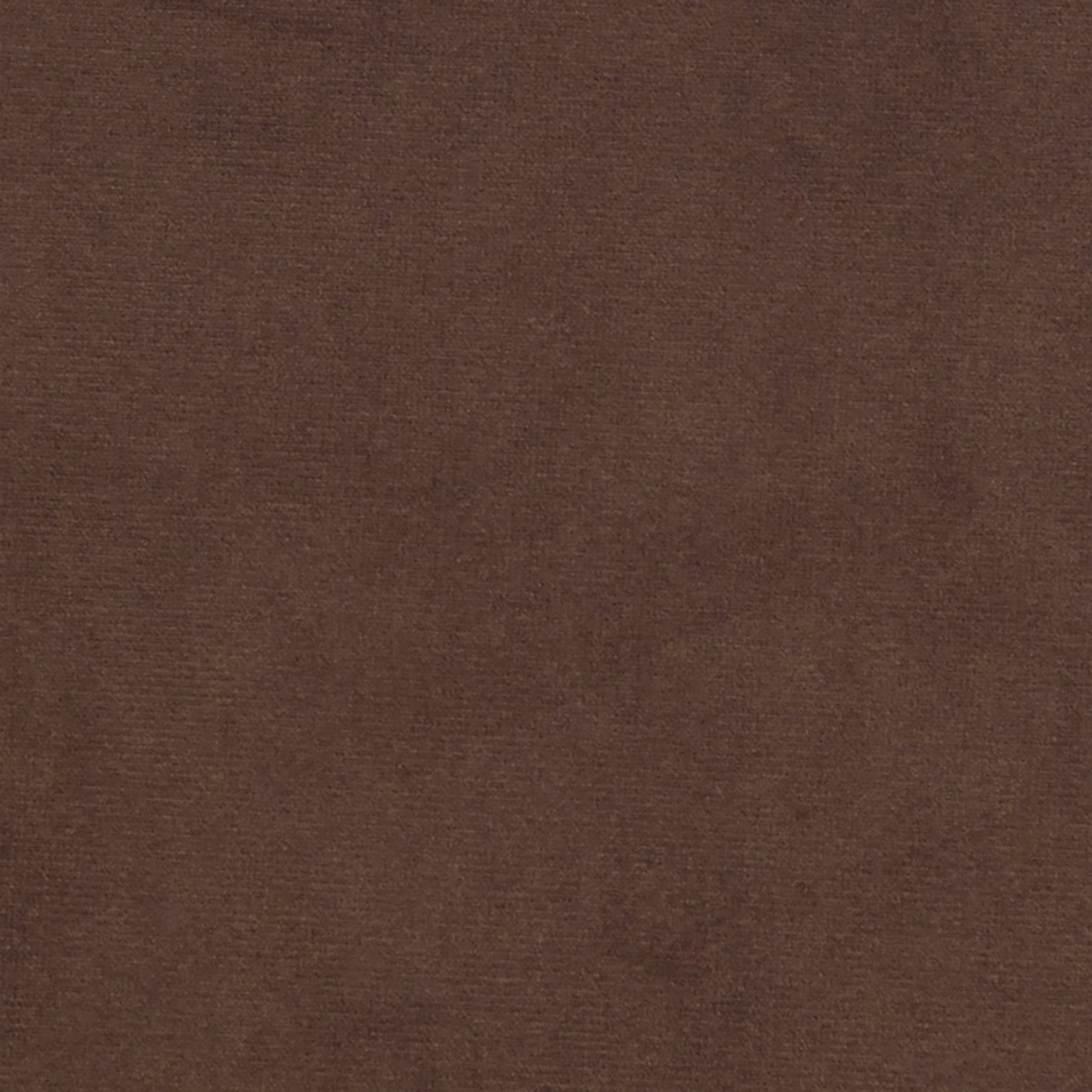 Grass 13