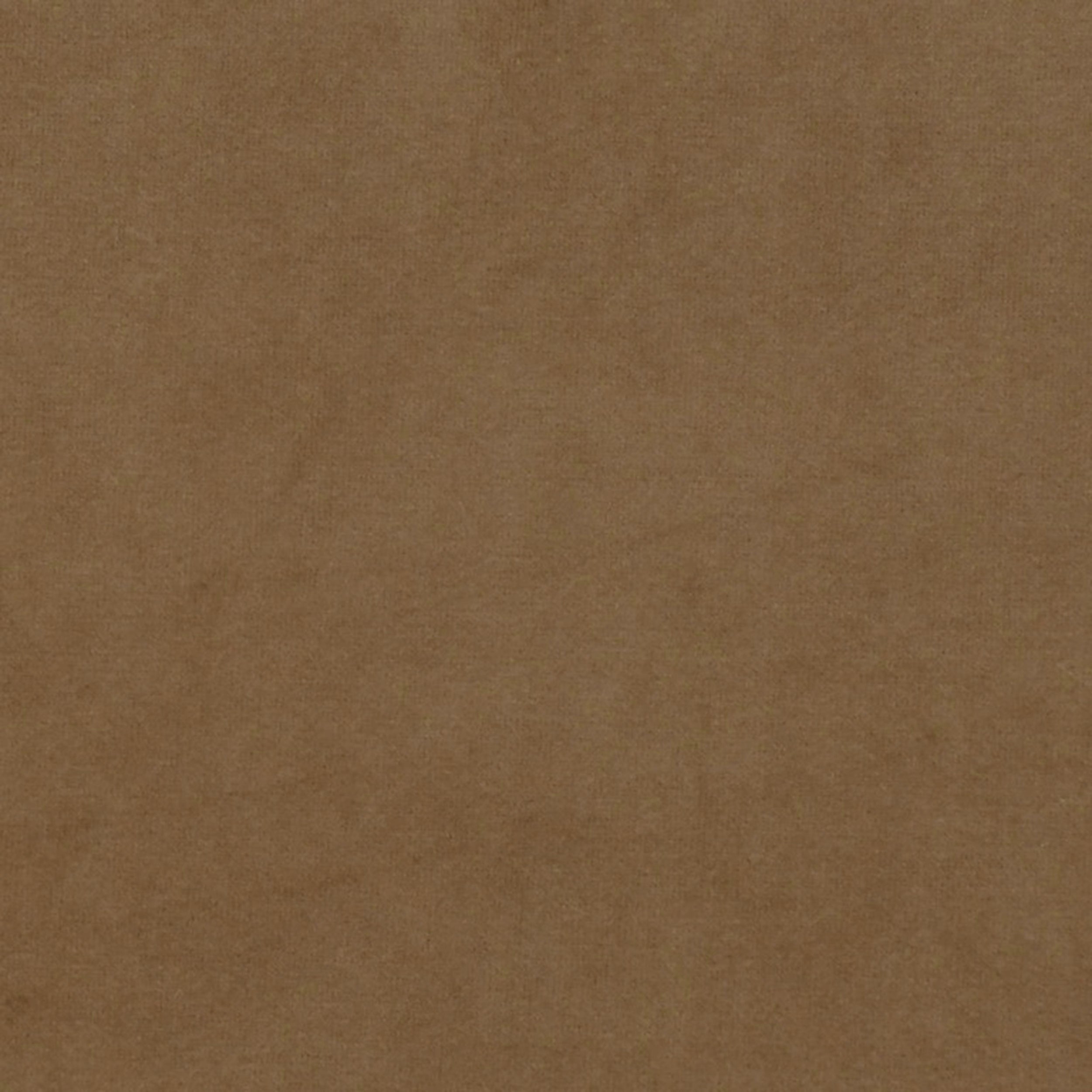 Grass 14