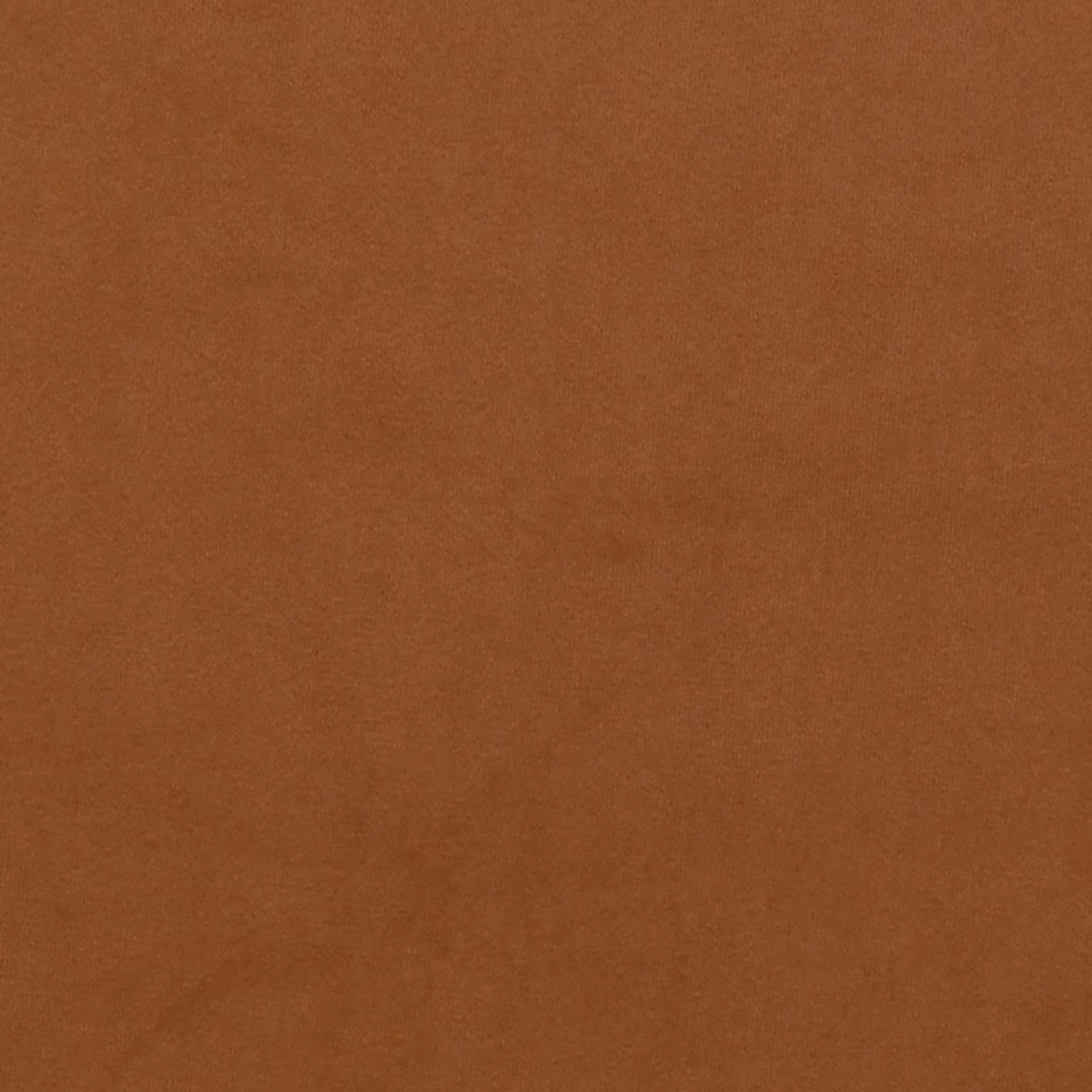 Grass 16