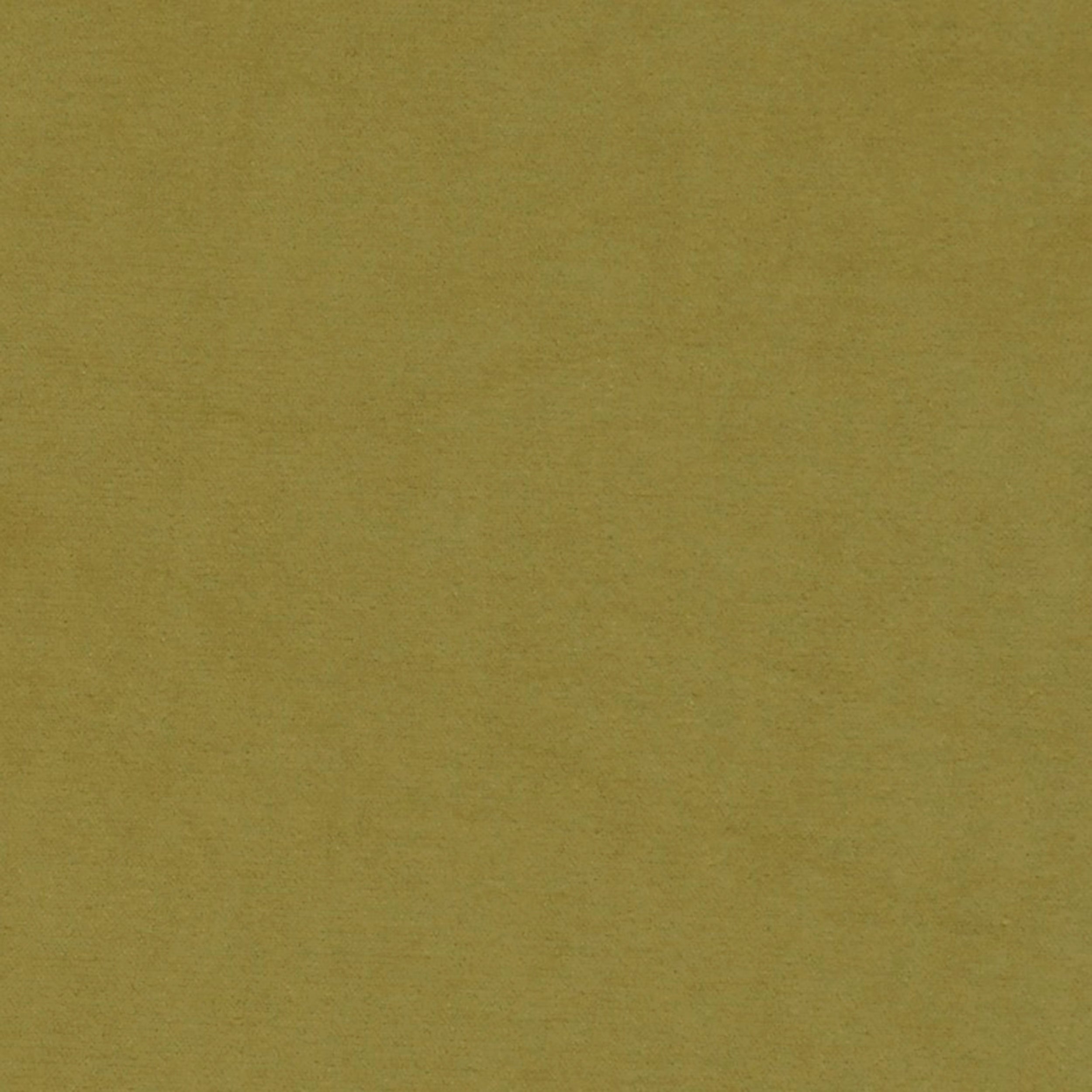 Grass 17