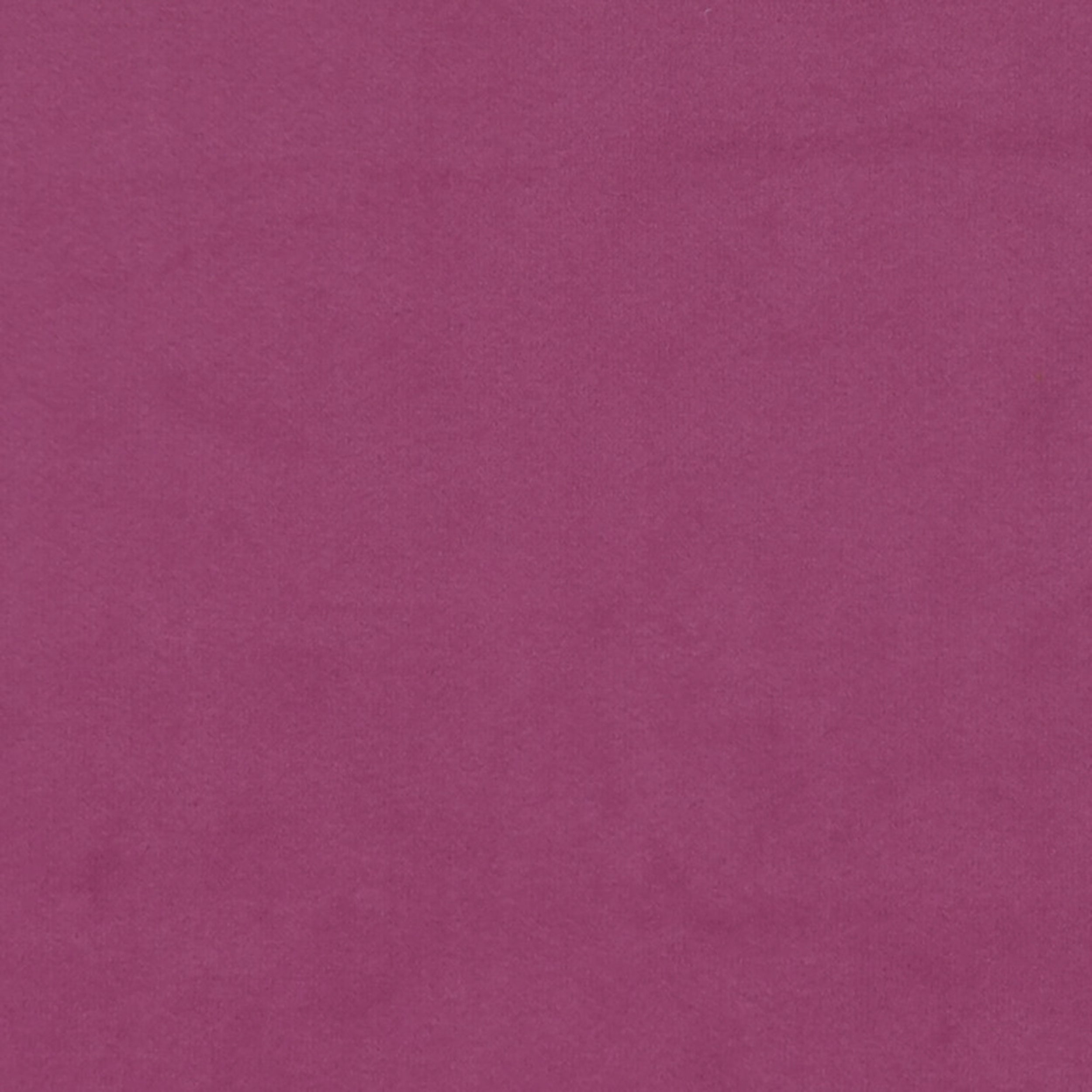 Grass 19