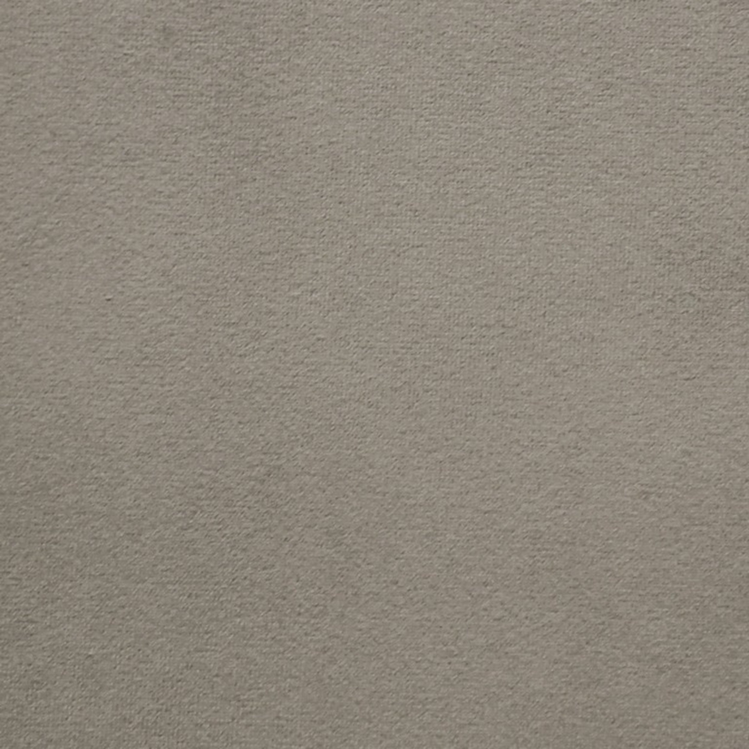 Grass 5
