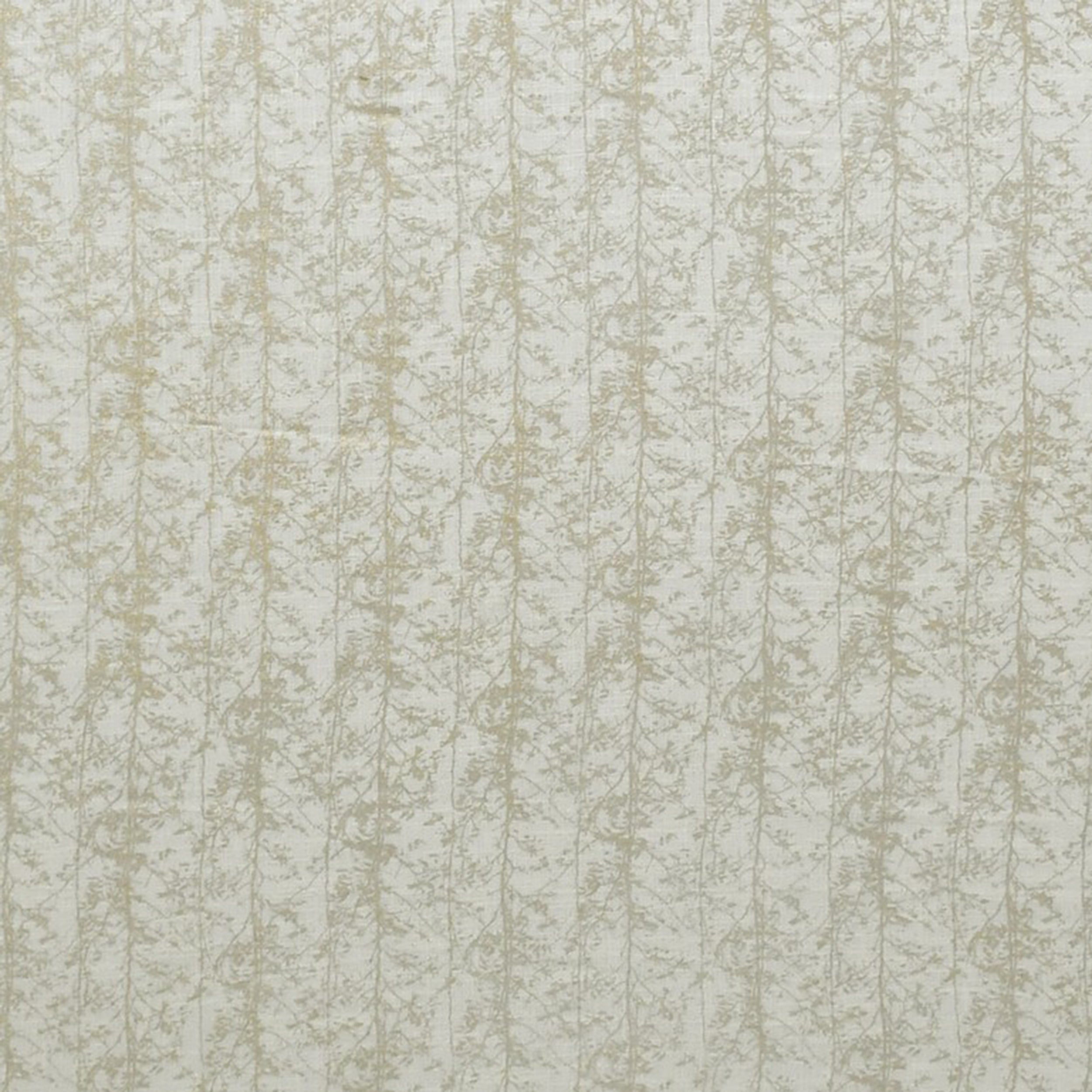 Jazz 21