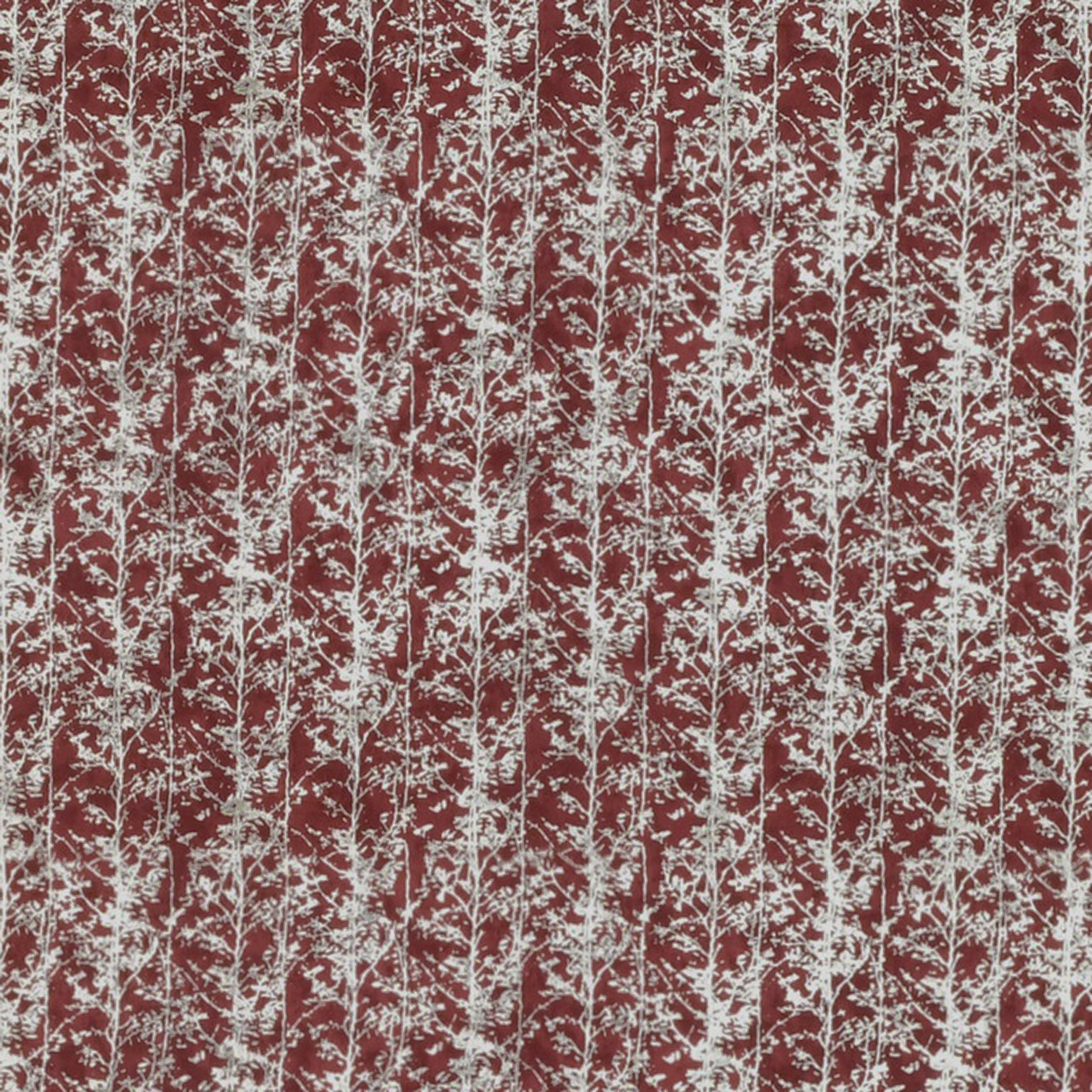 Jazz 54