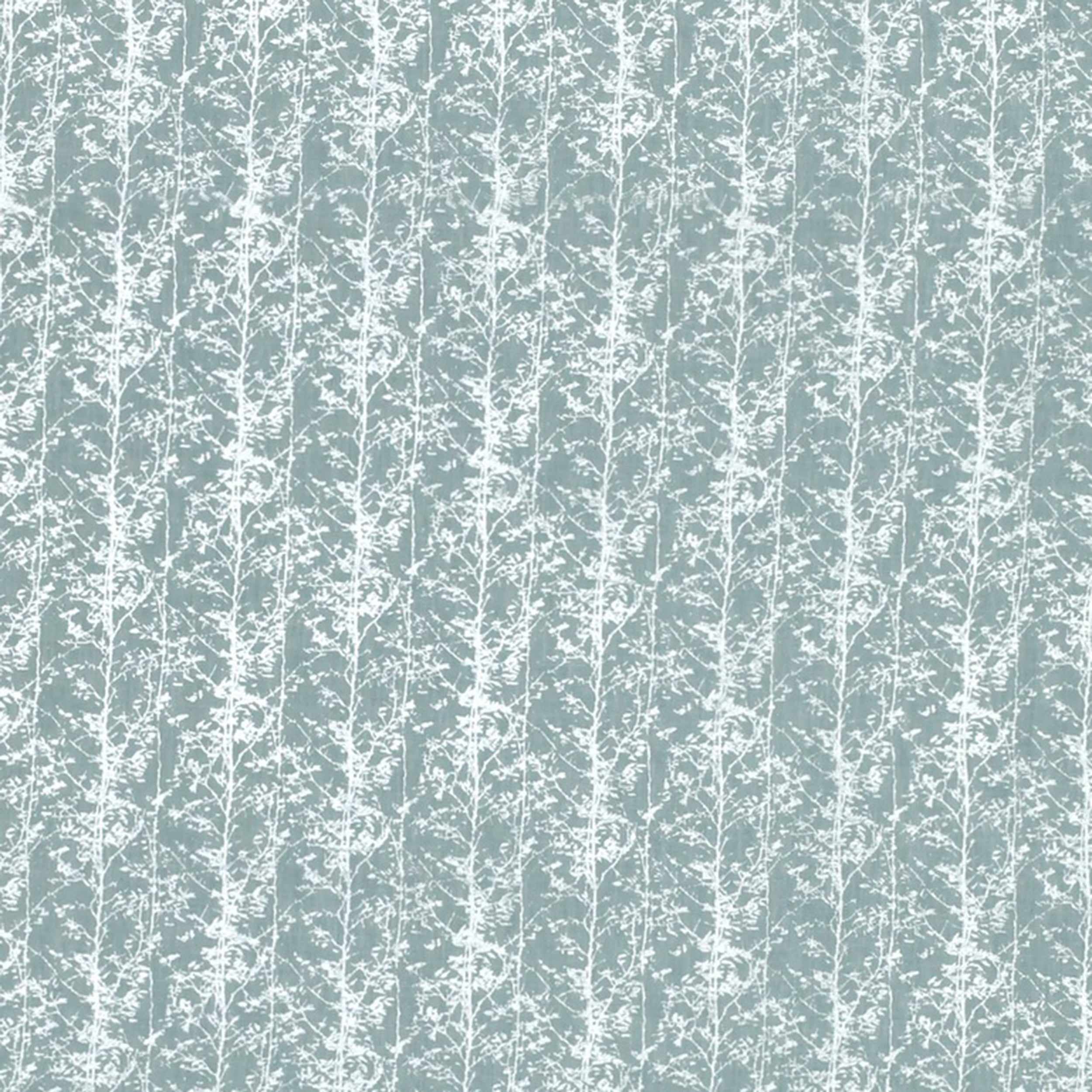 Jazz 6