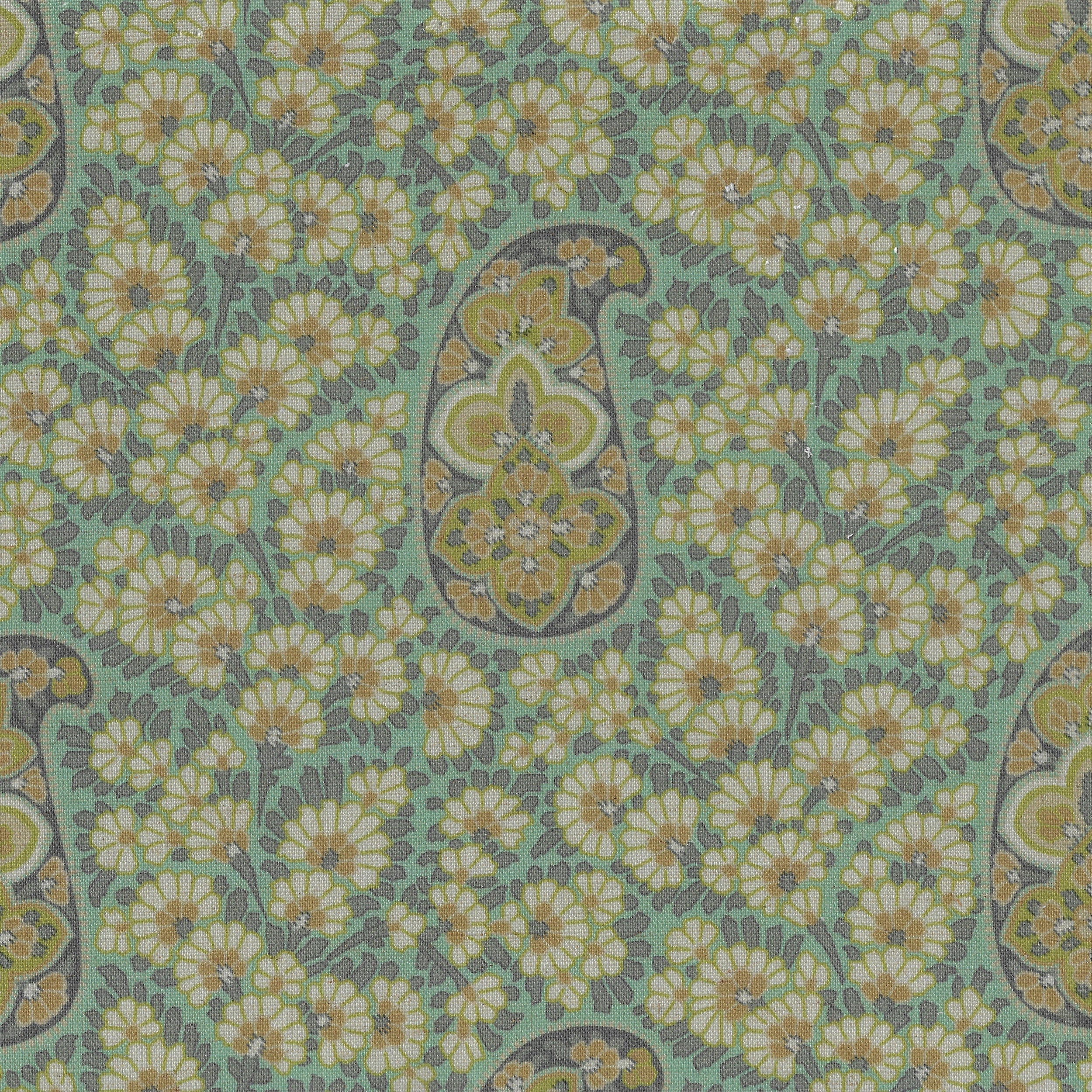 Kashmir 109