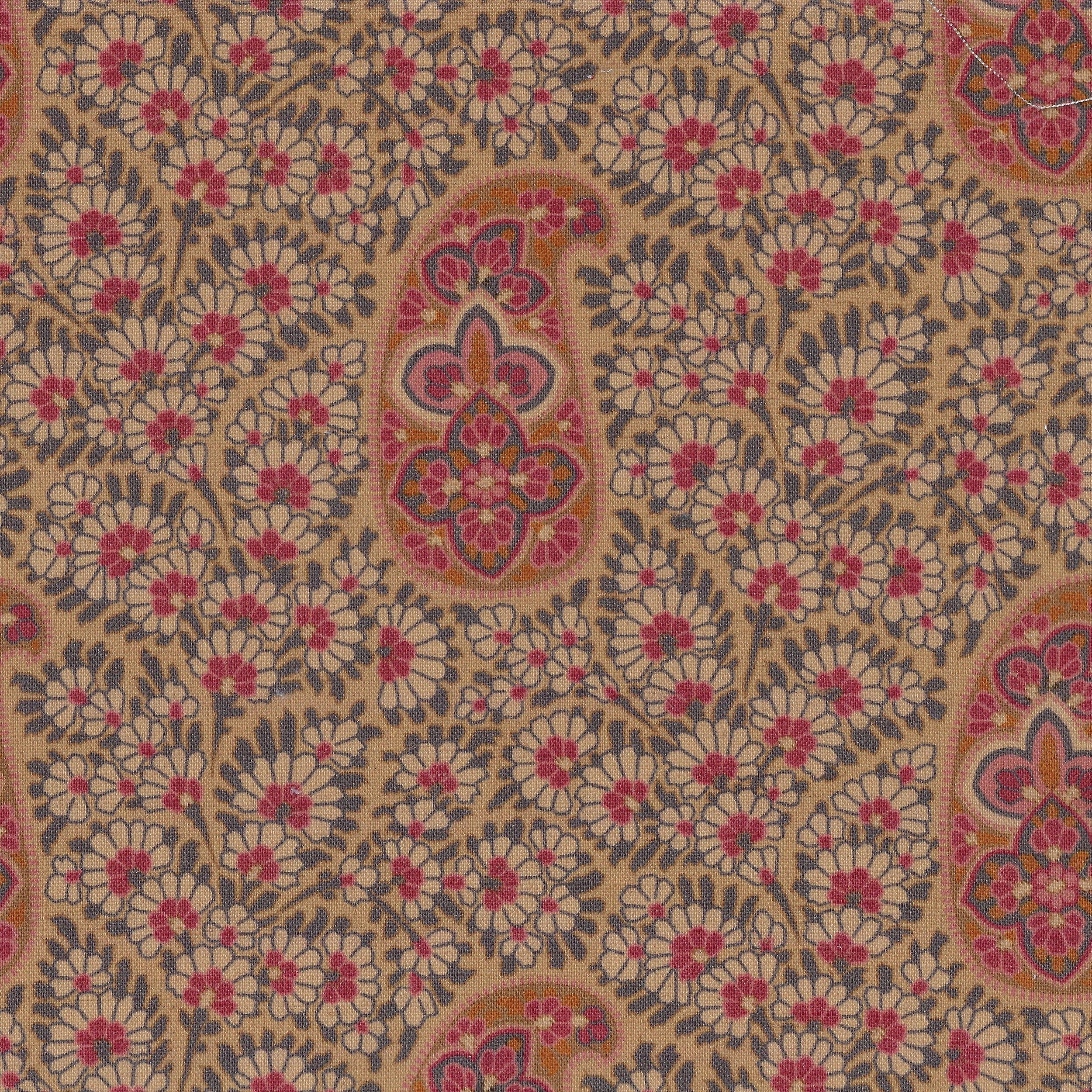 Kashmir 114