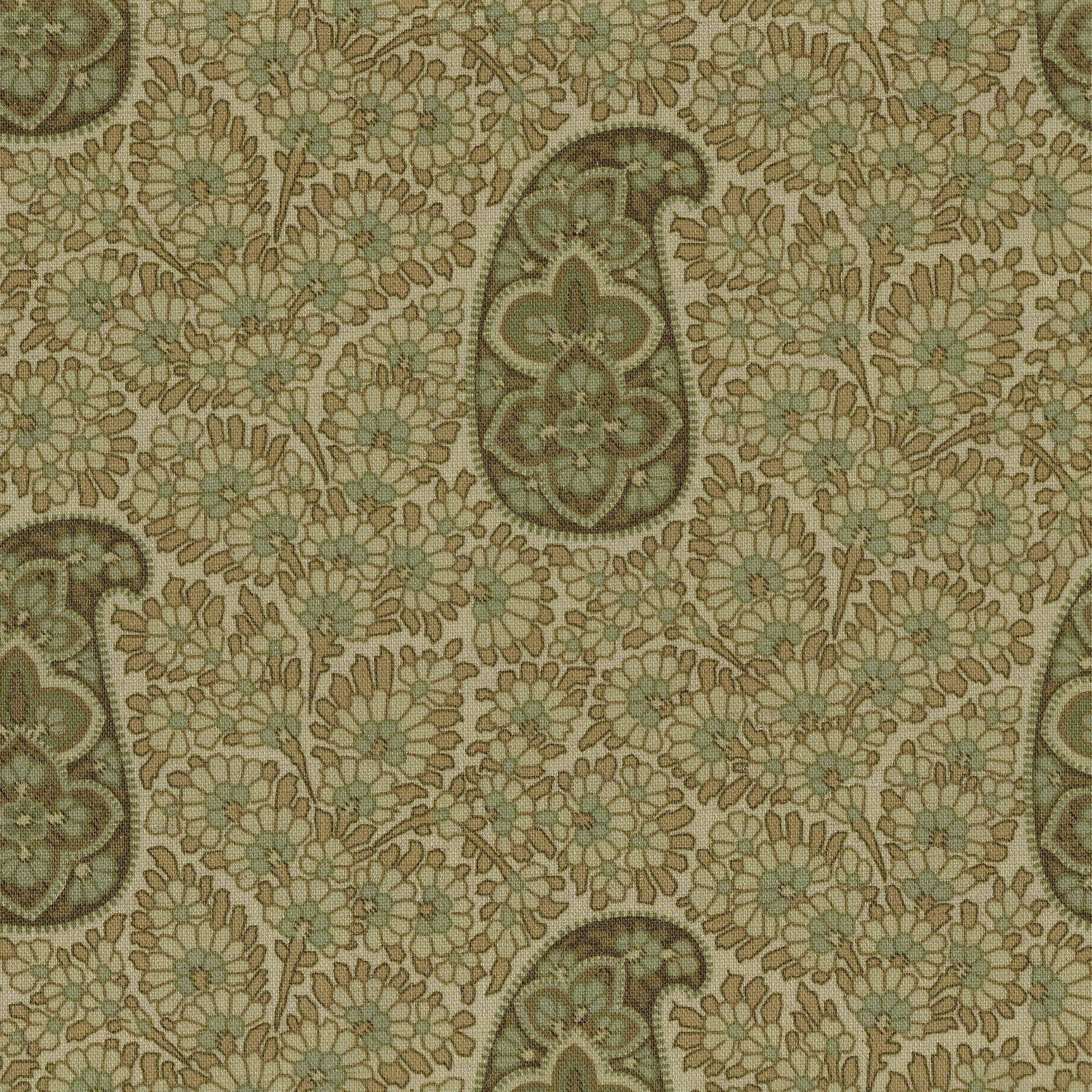 Kashmir 120
