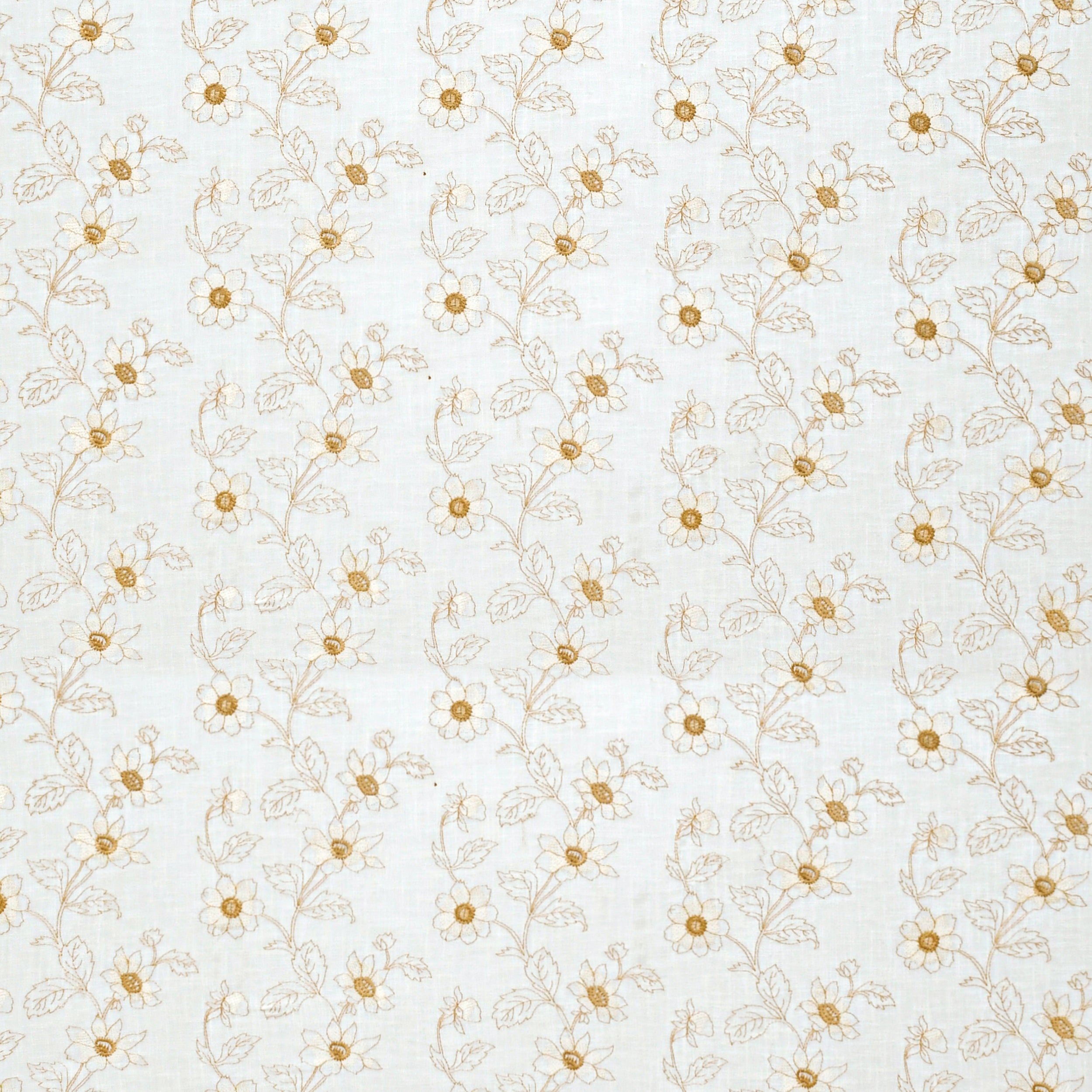 Meraki 124