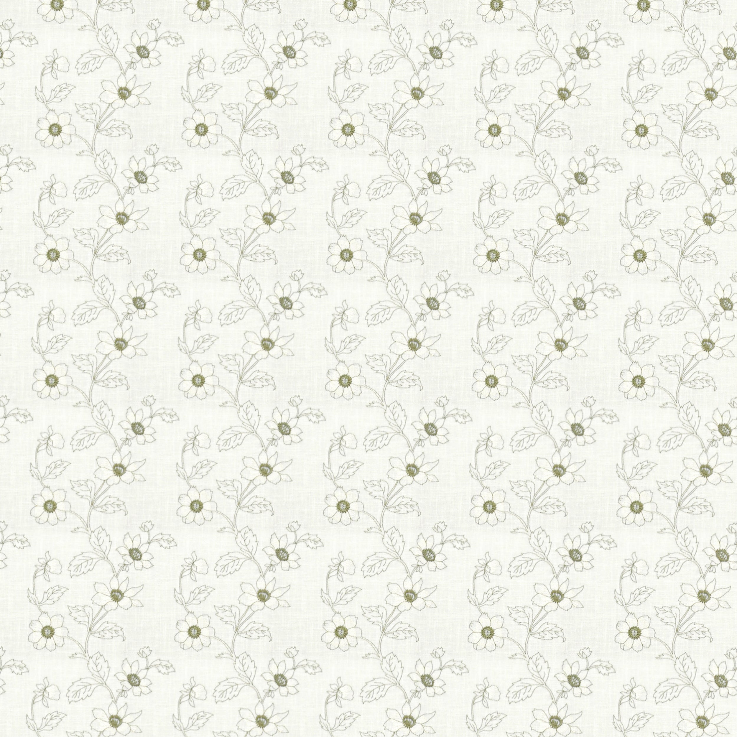 Meraki 138