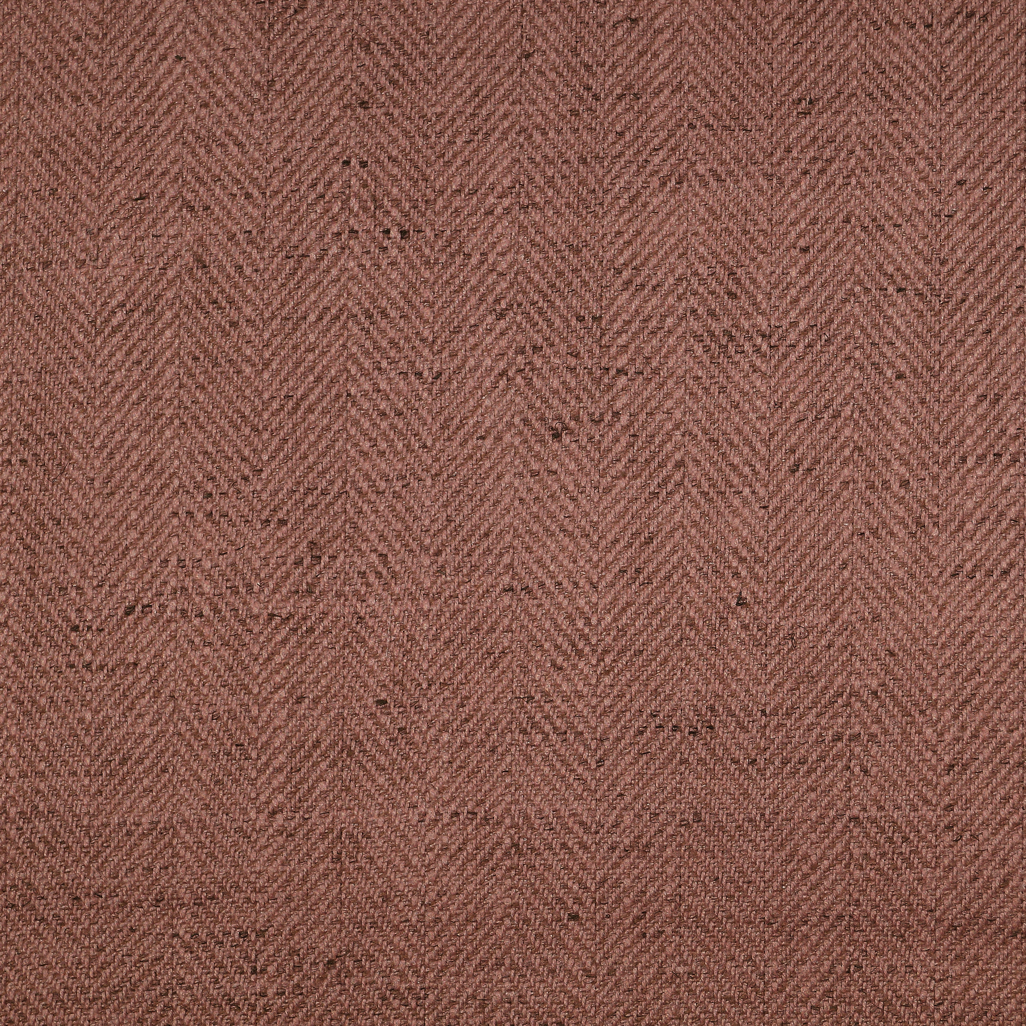 Nile 291