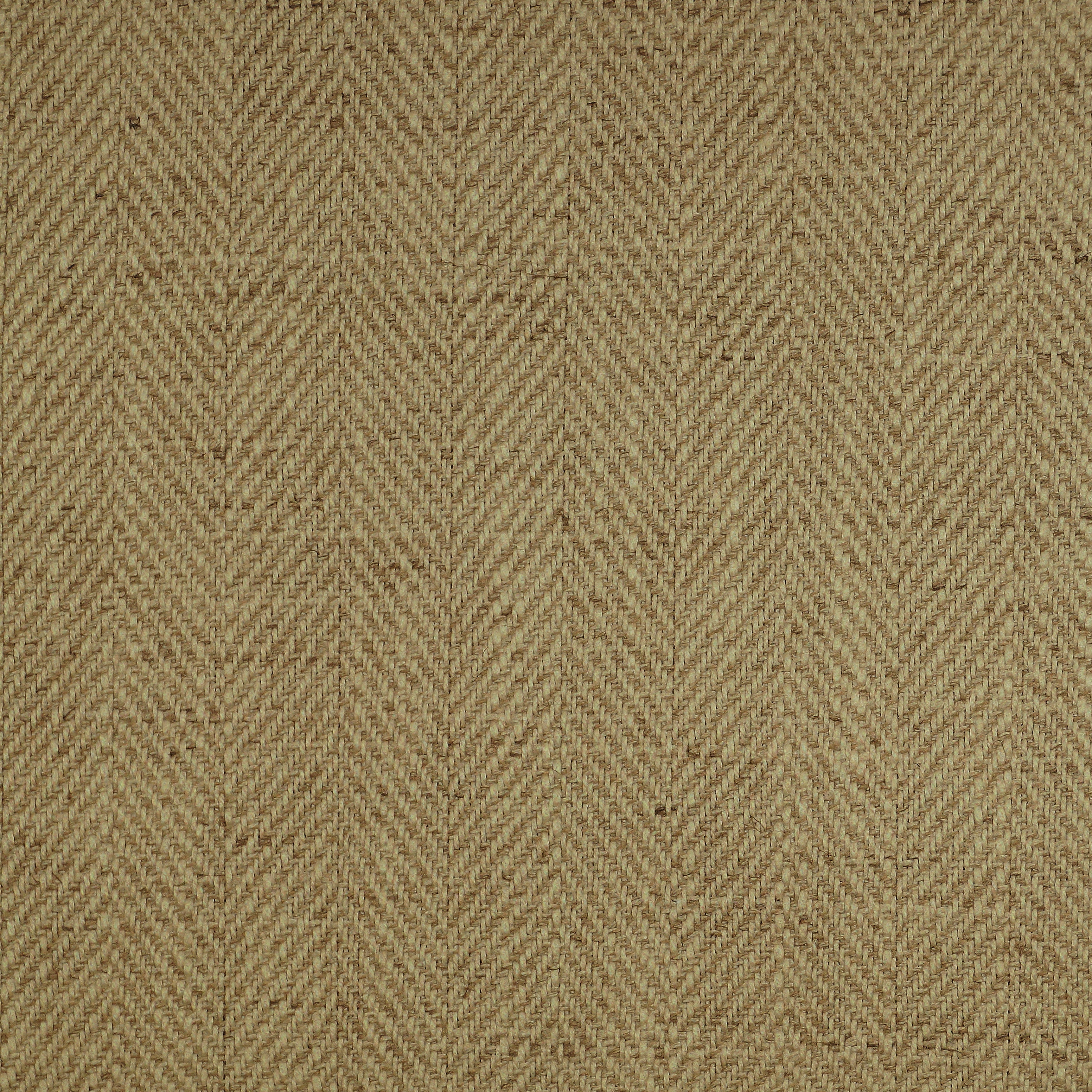 Nile 295
