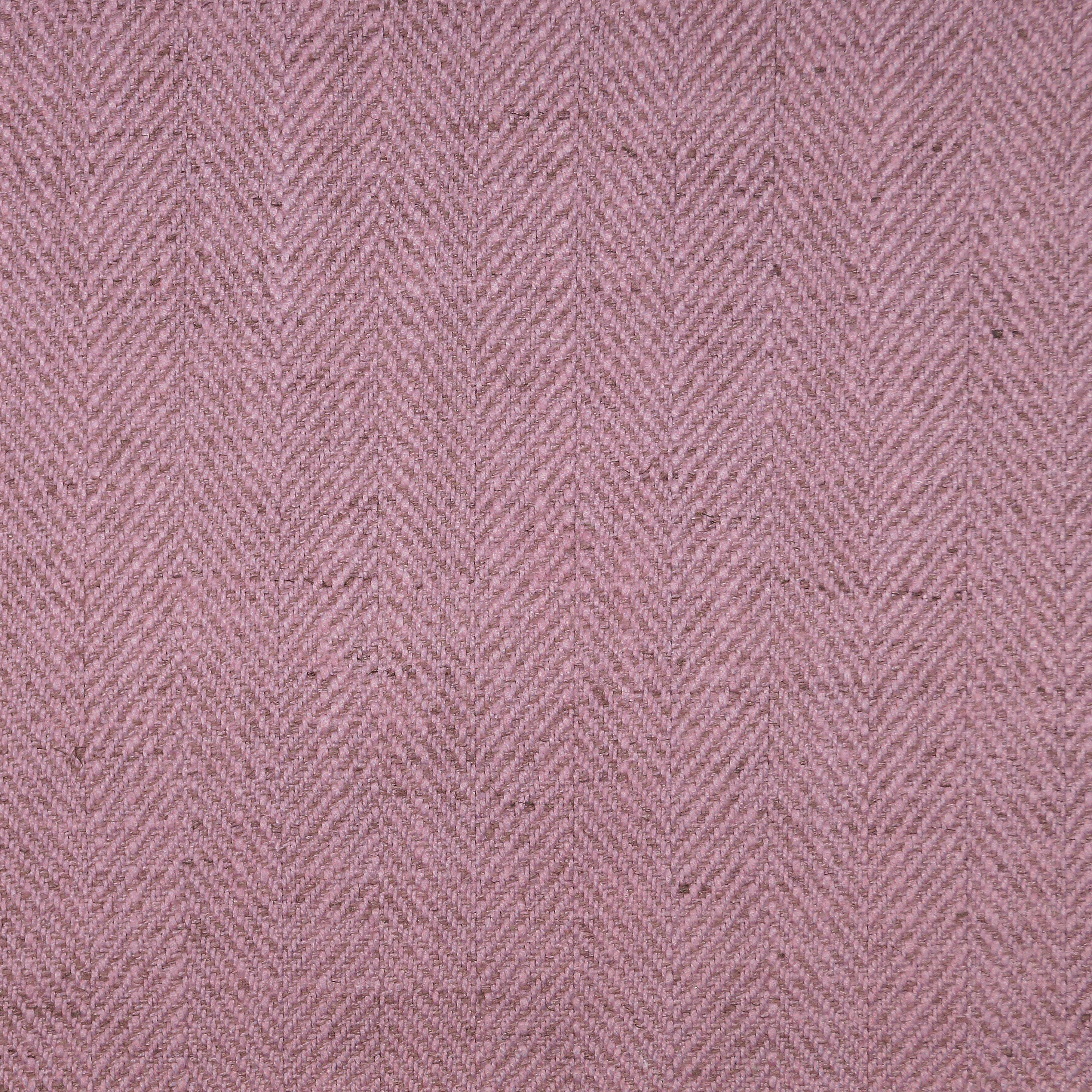 Nile 313
