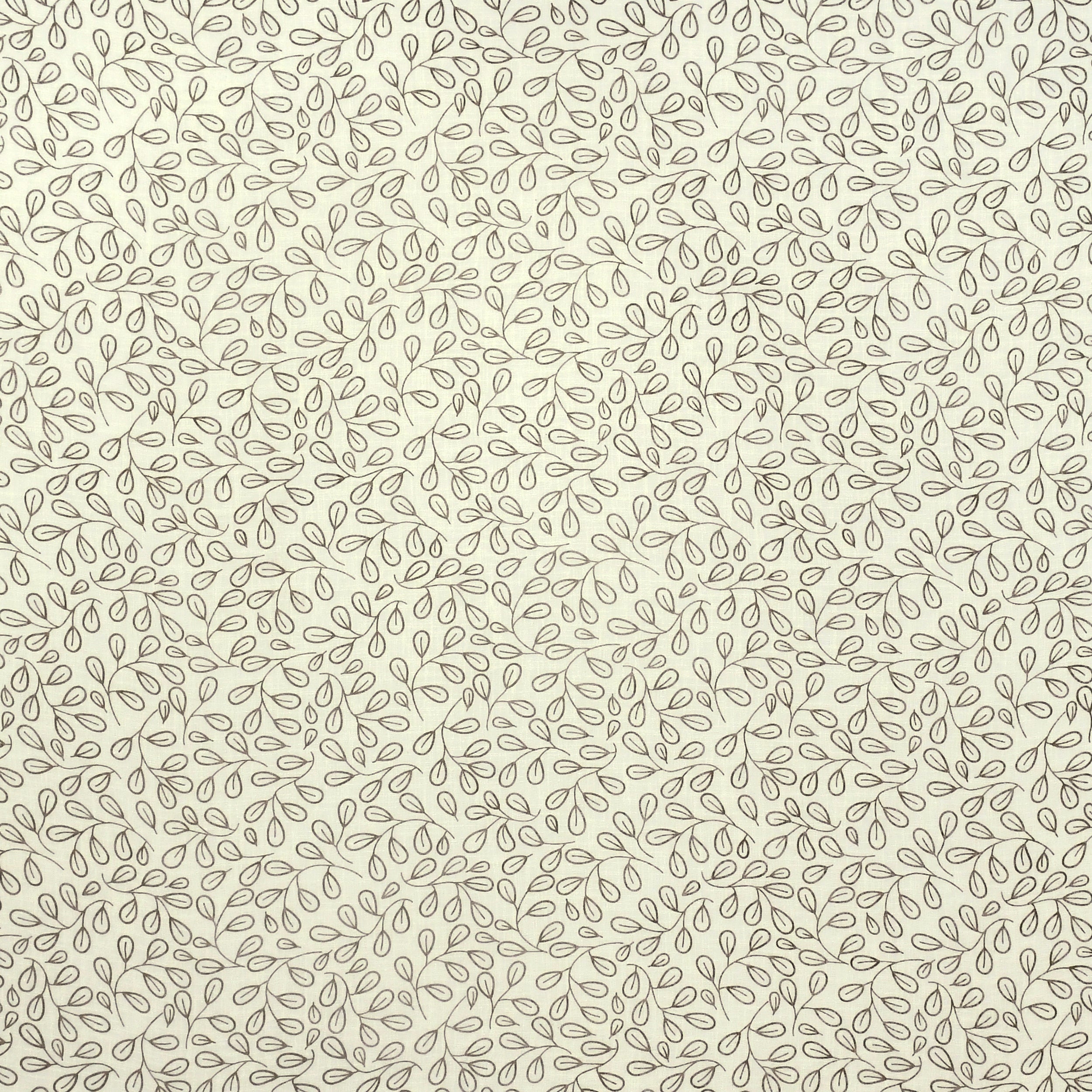 Palash 218