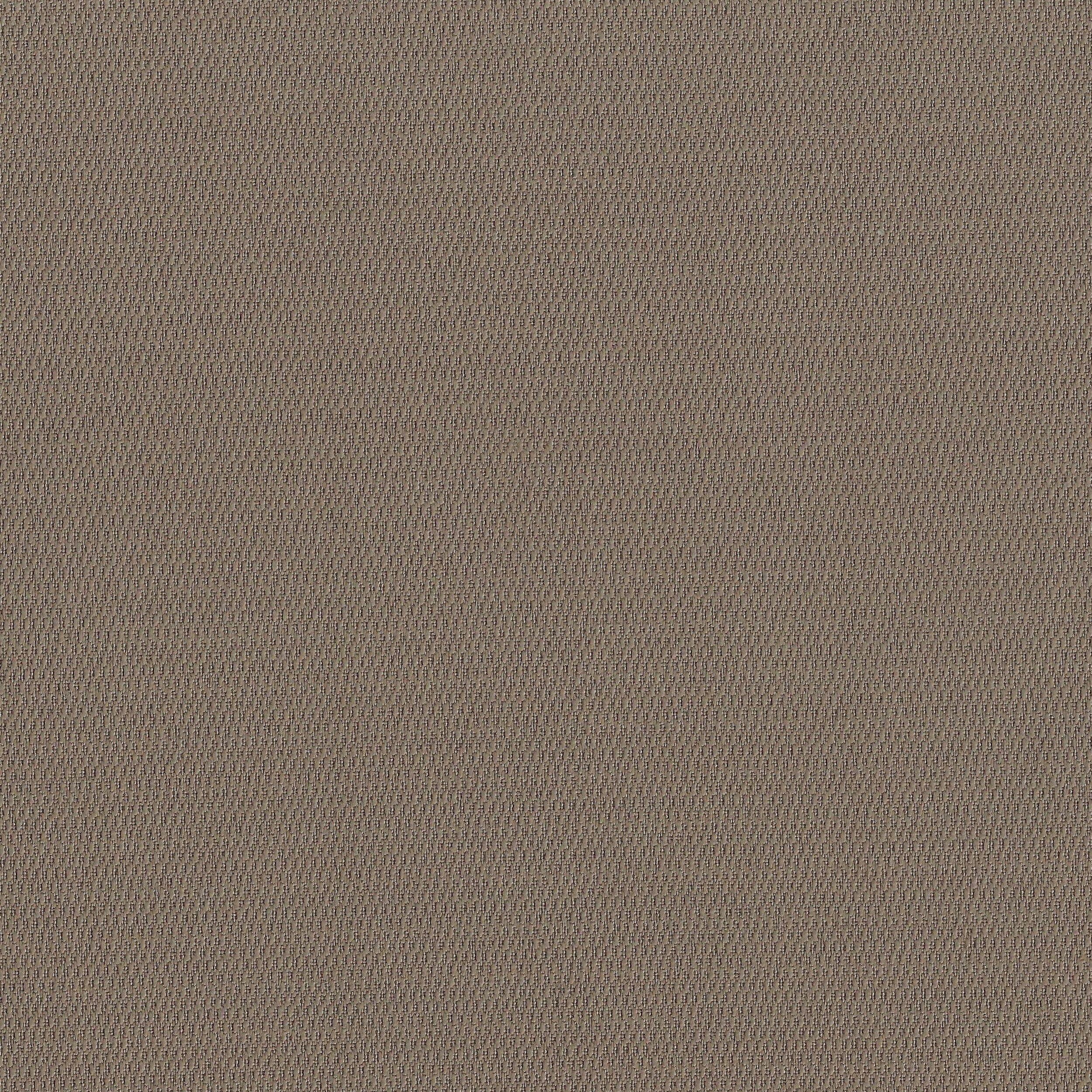 Verona 9