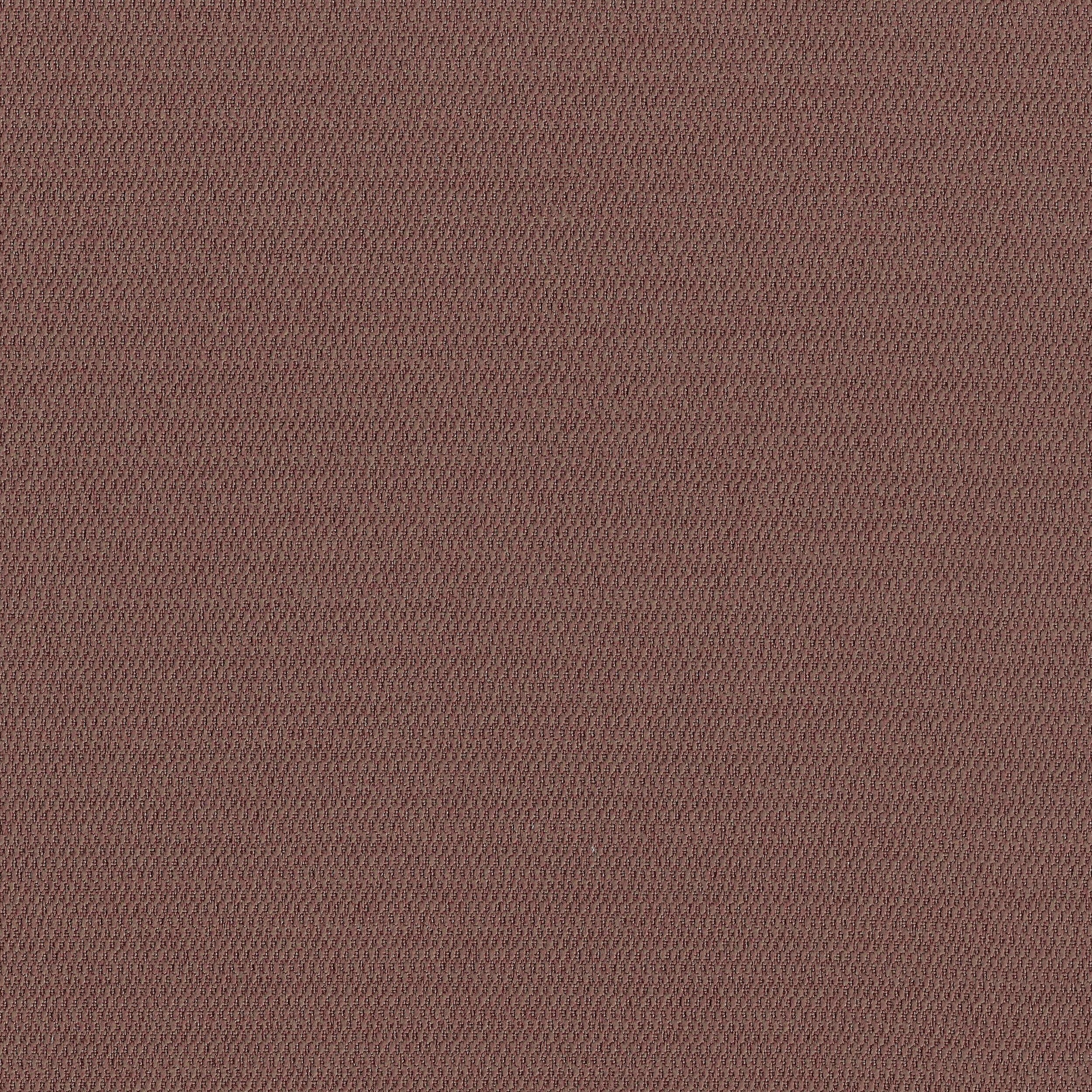 Verona 13