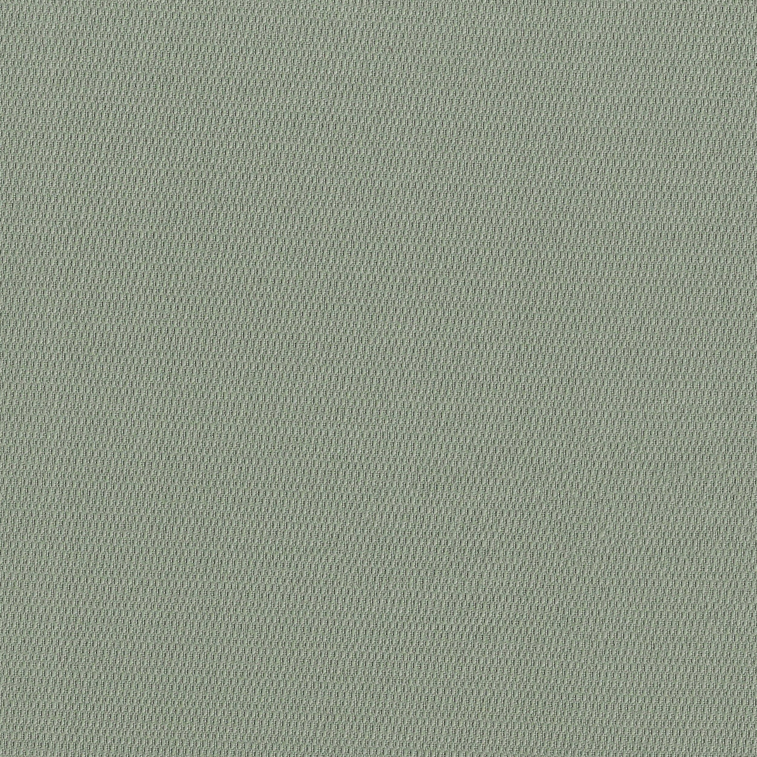 Verona 15