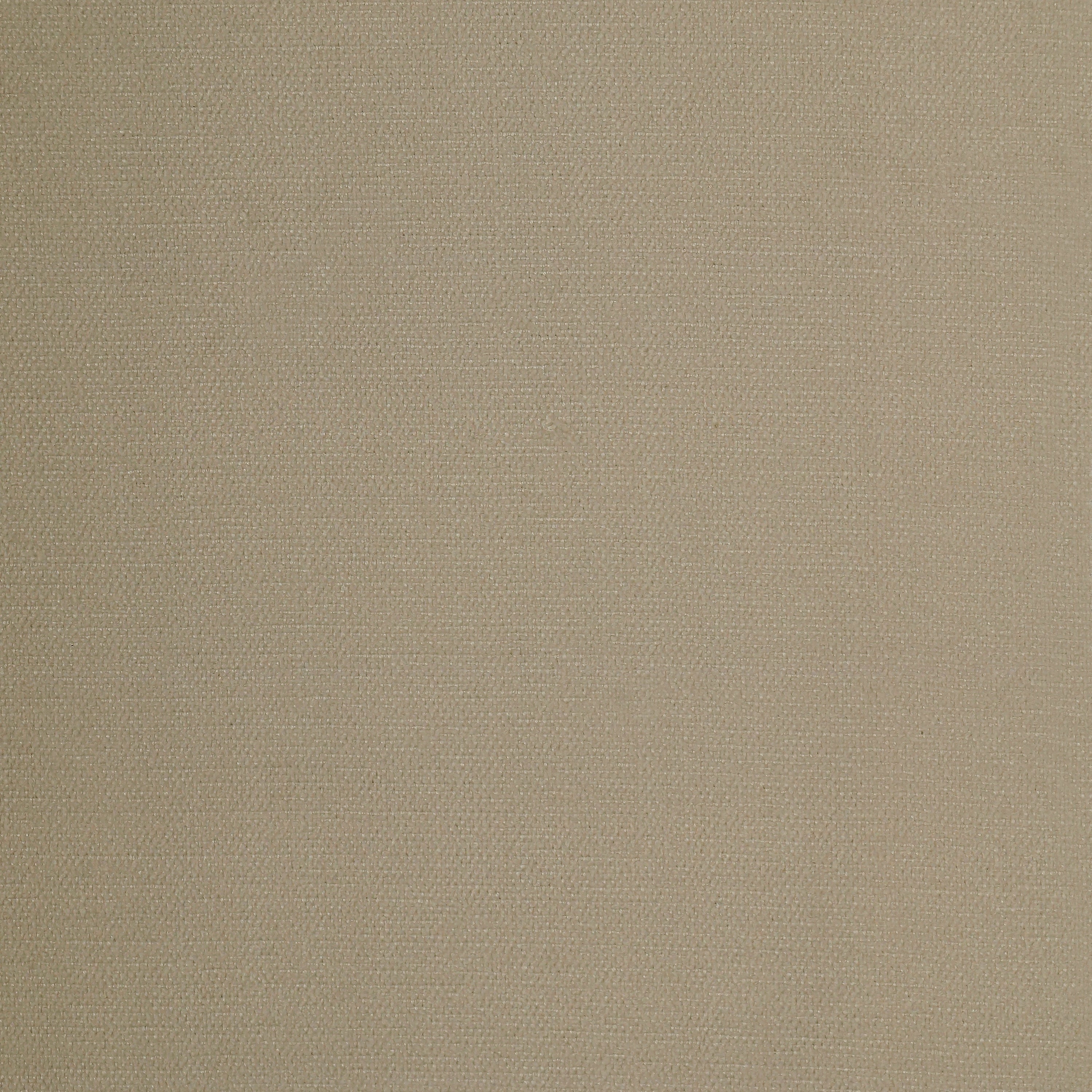 Albers 301