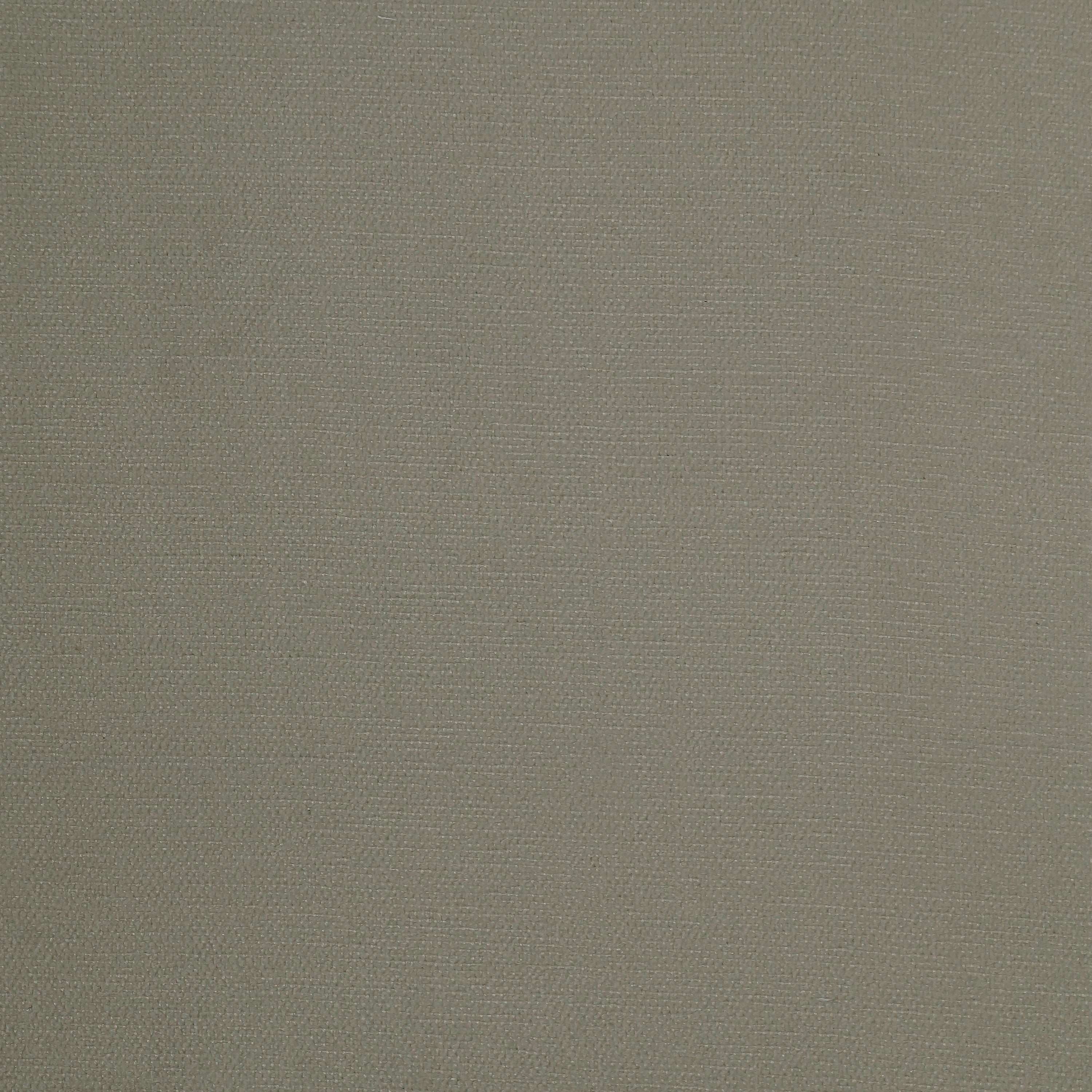 Albers 302