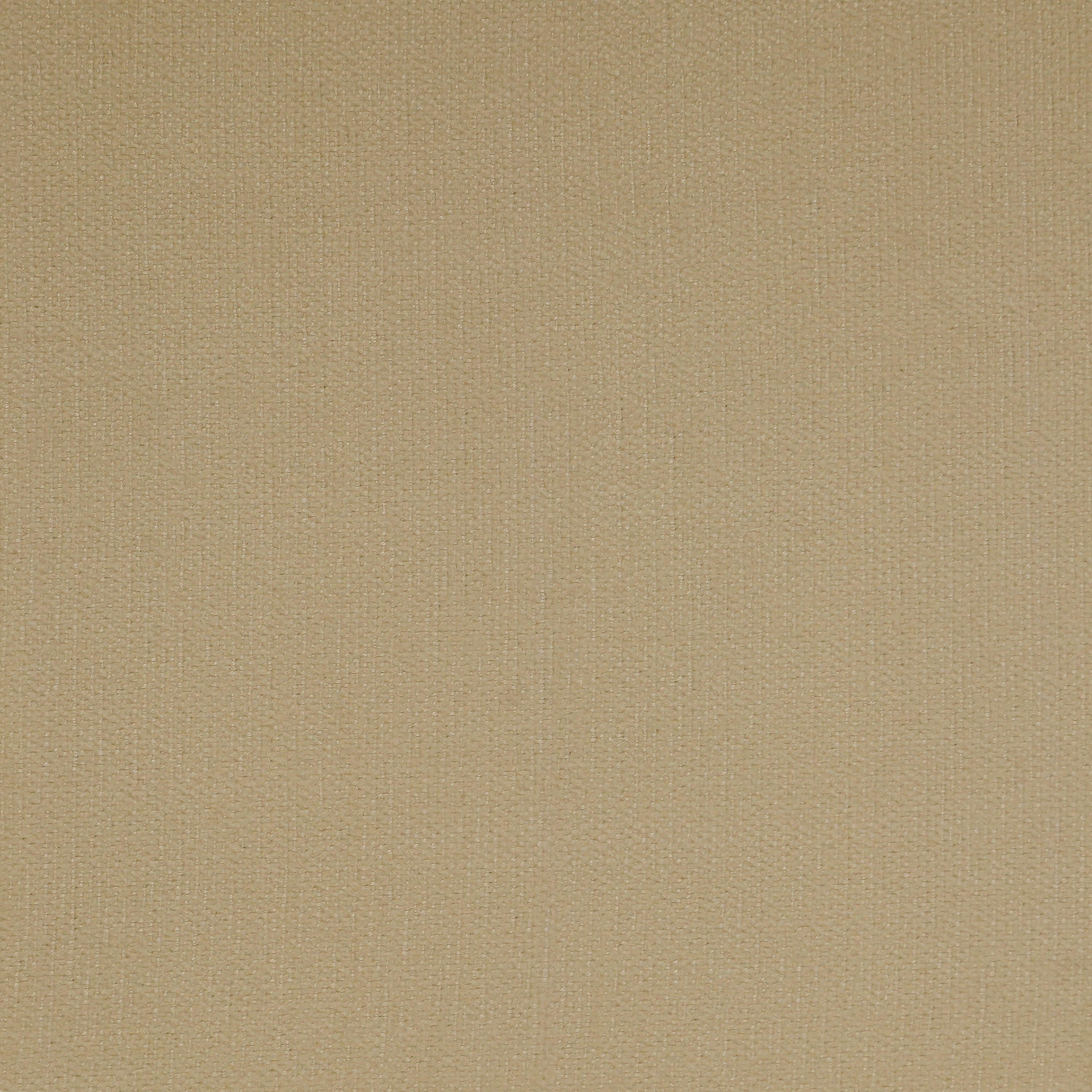 Albers 303