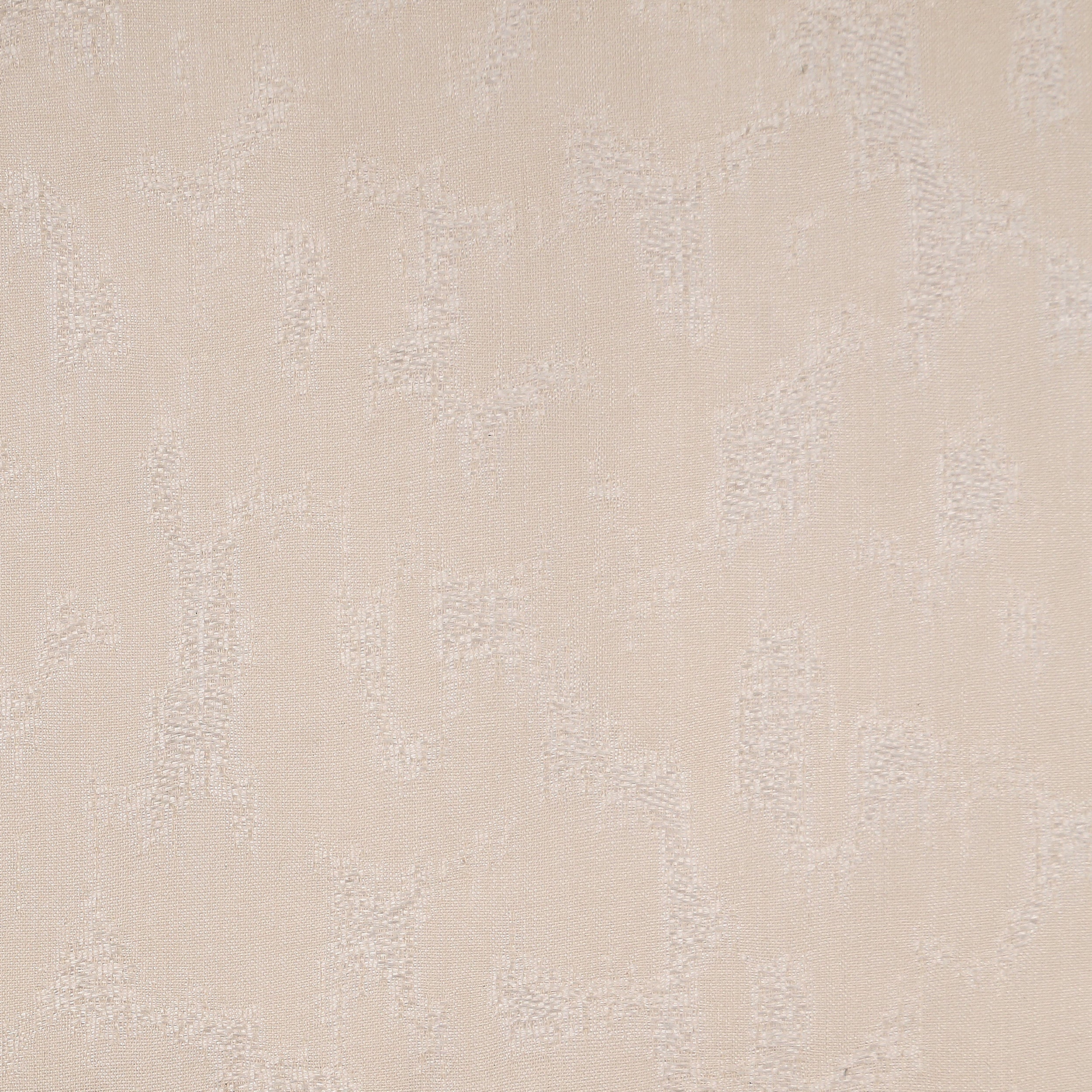 Expanse 1