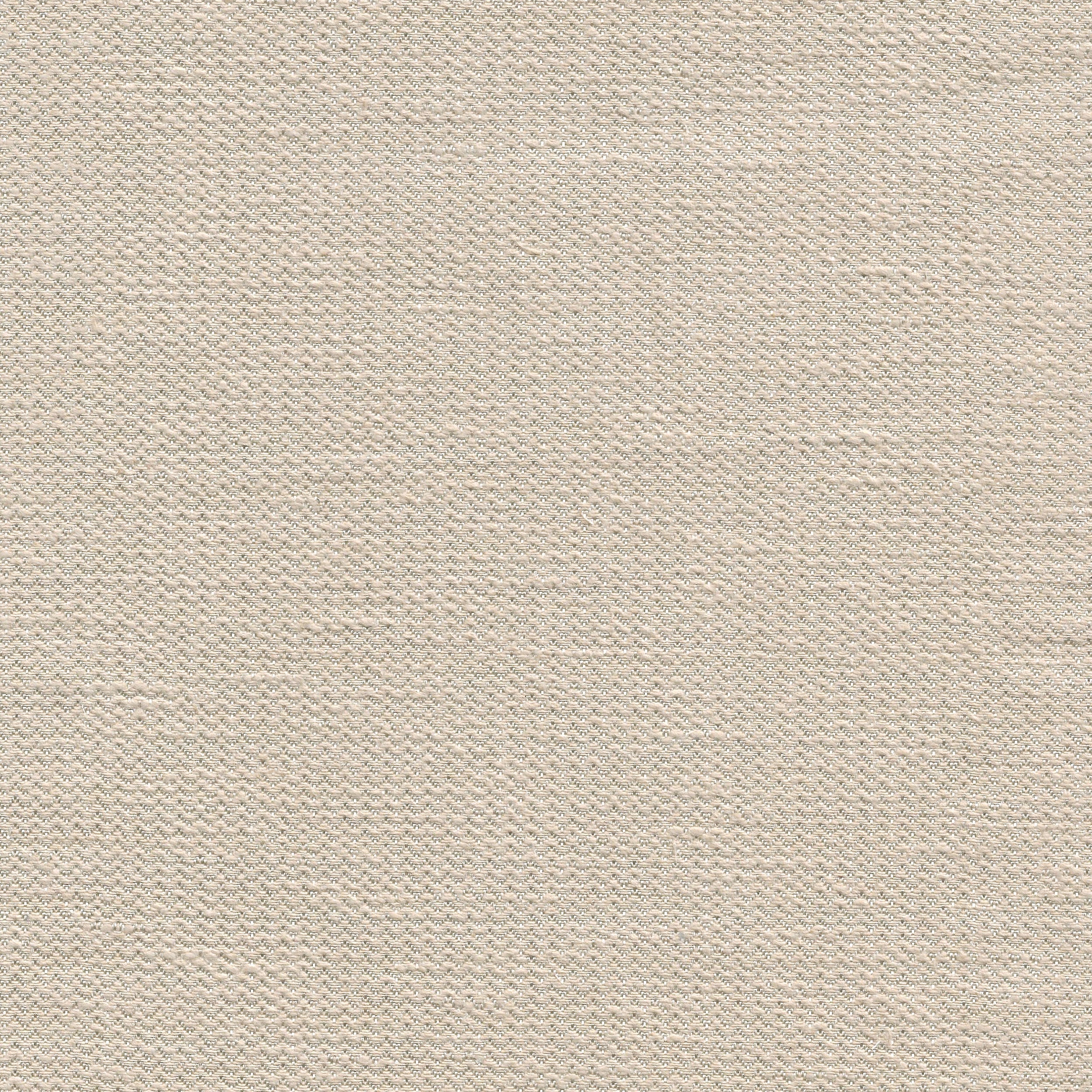 Fossil 1