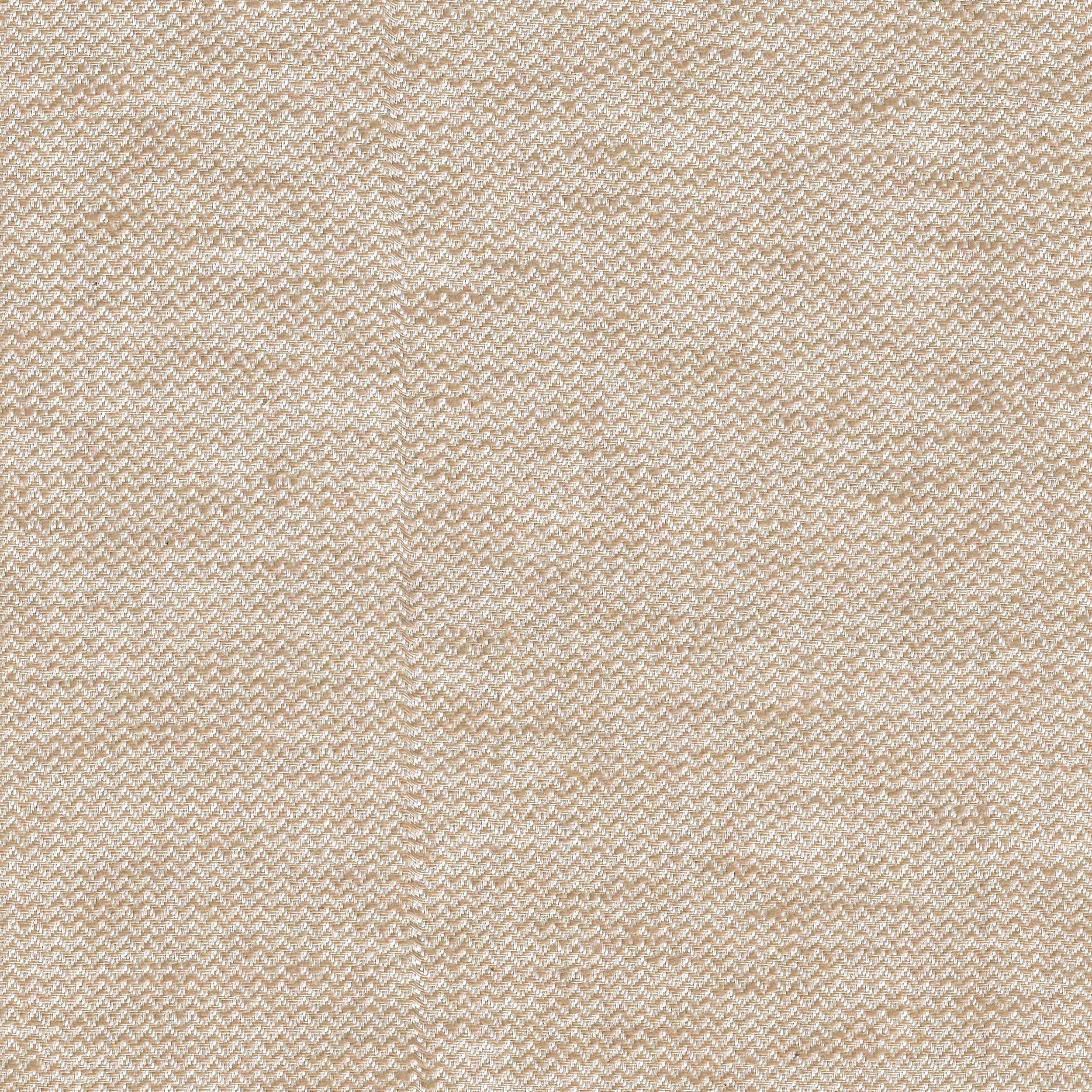 Fossil 14