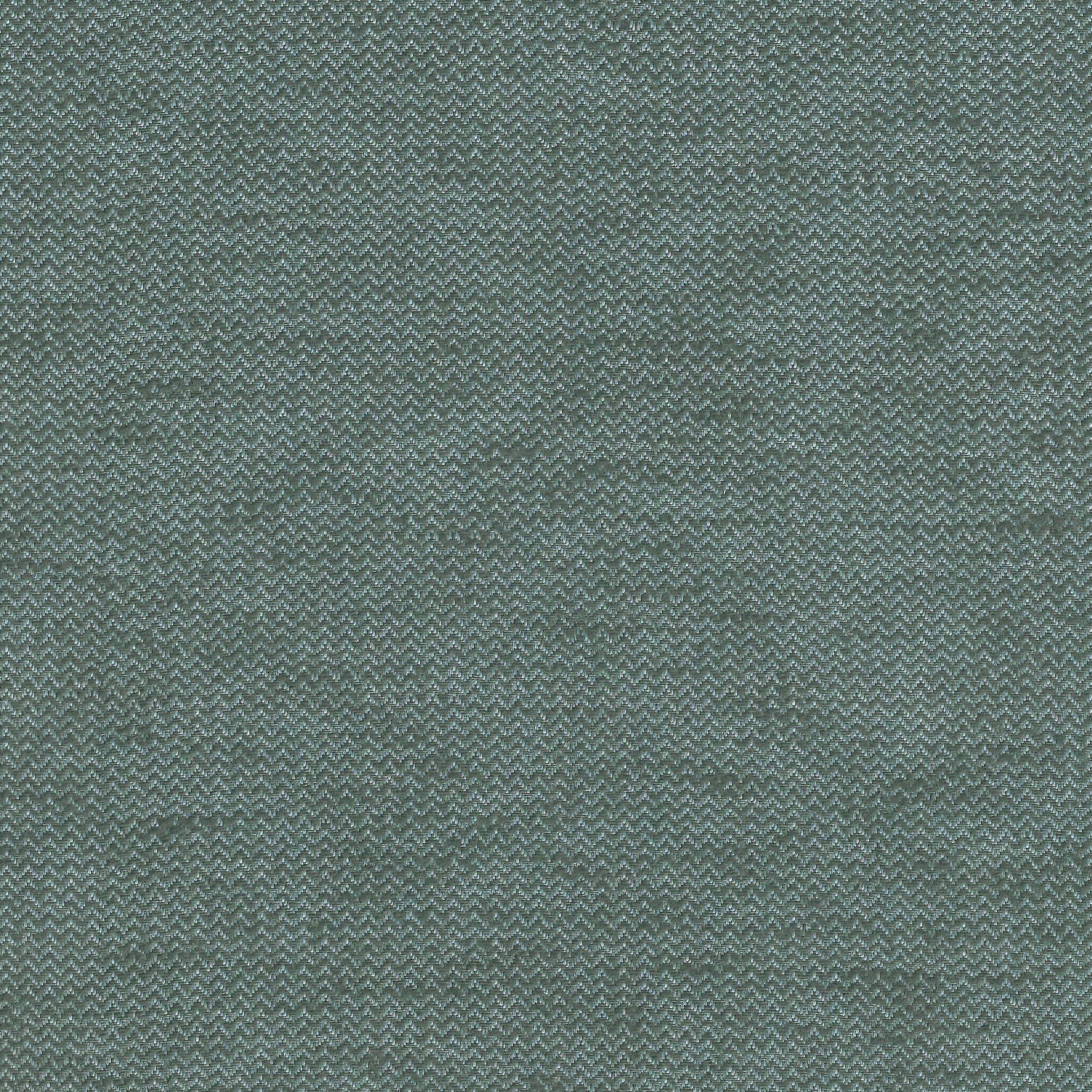 Fossil 41