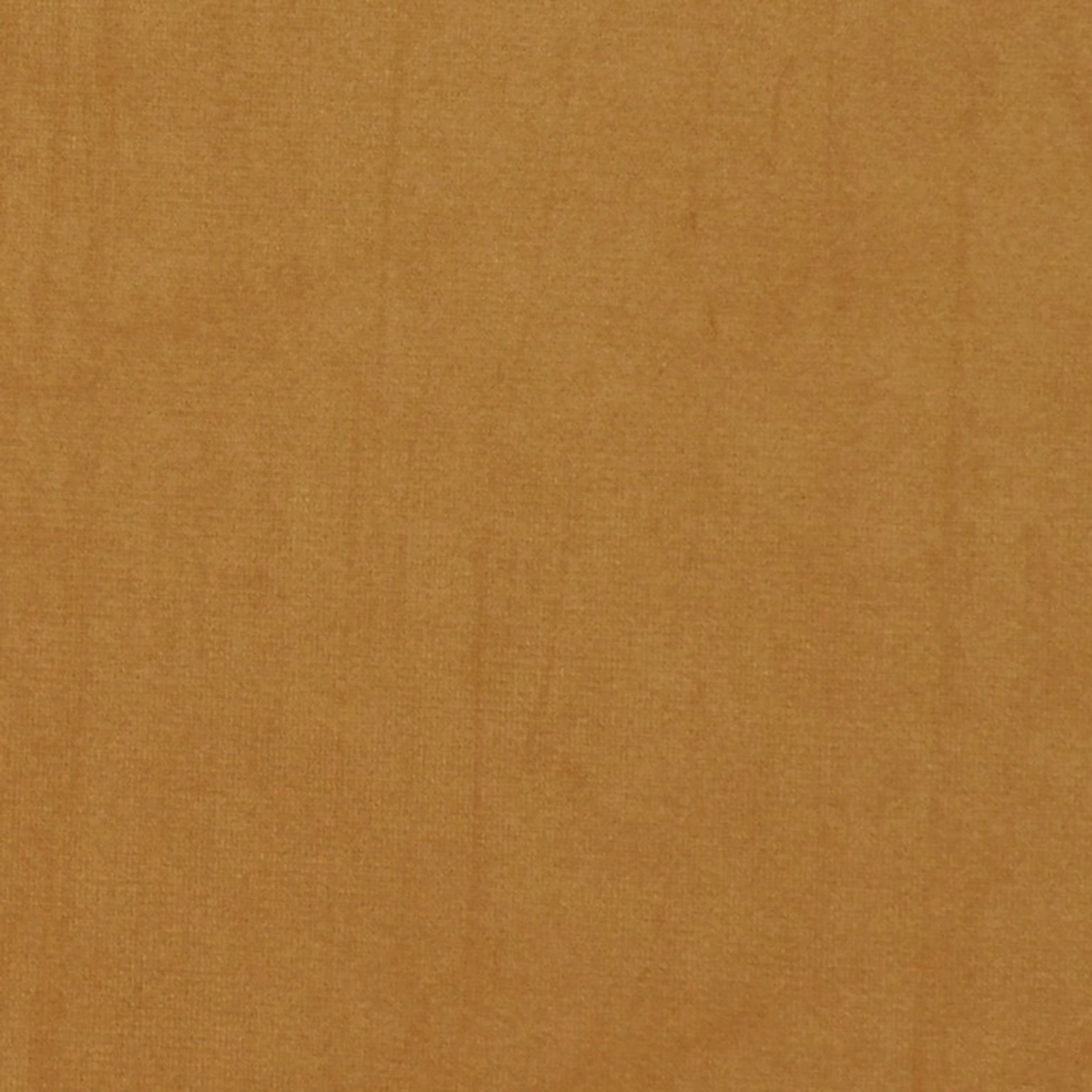 Grass 15