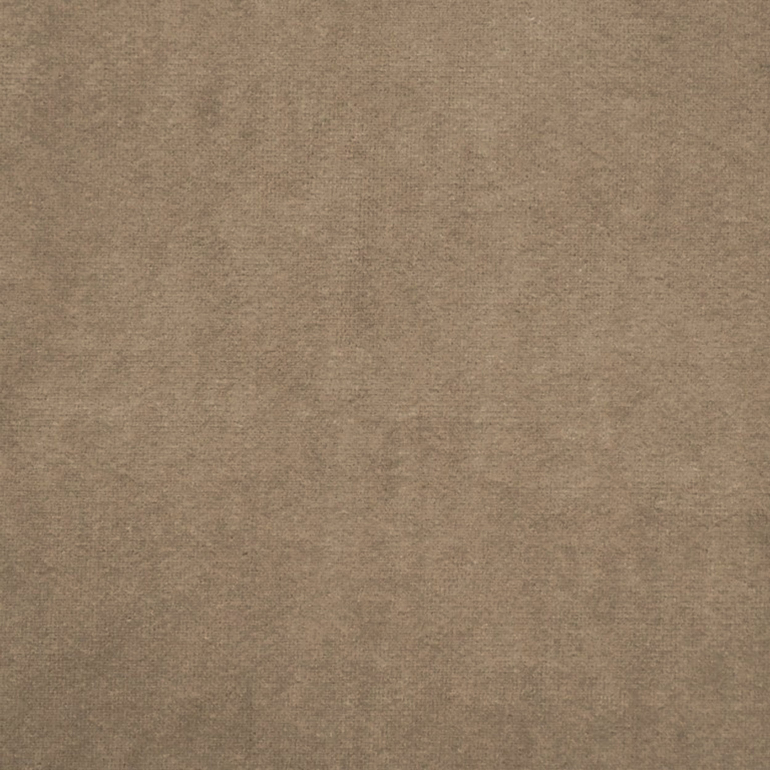 Grass 6