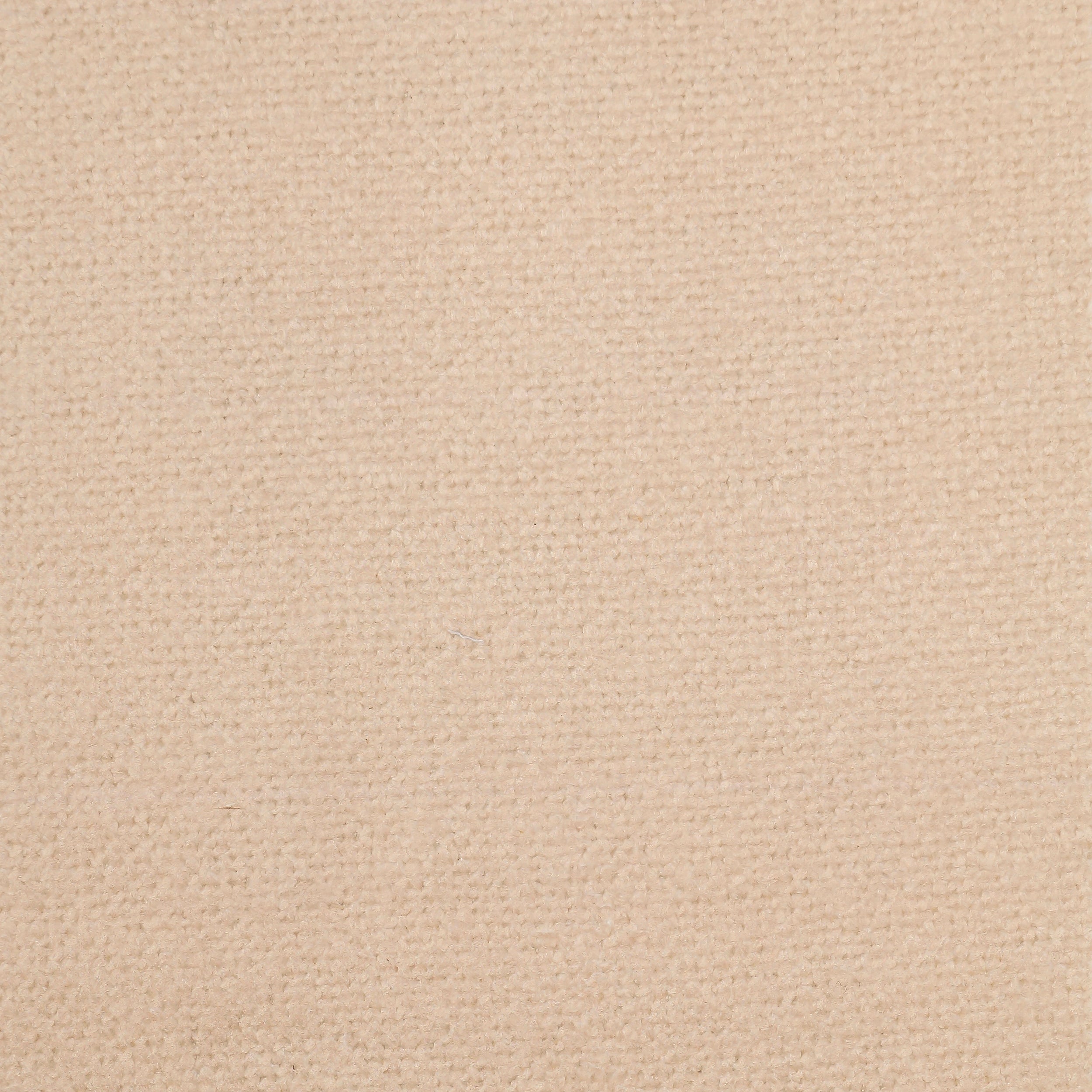 Klee 109