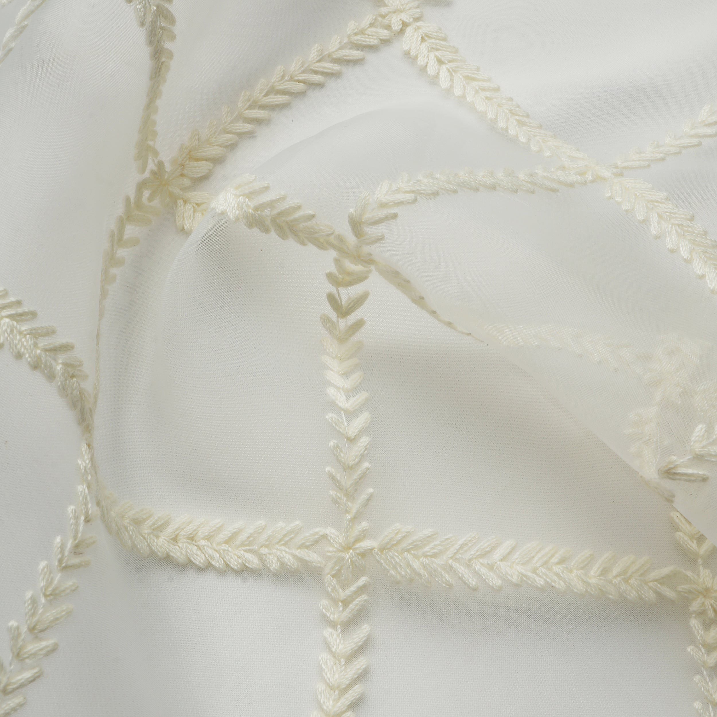 Lace 24