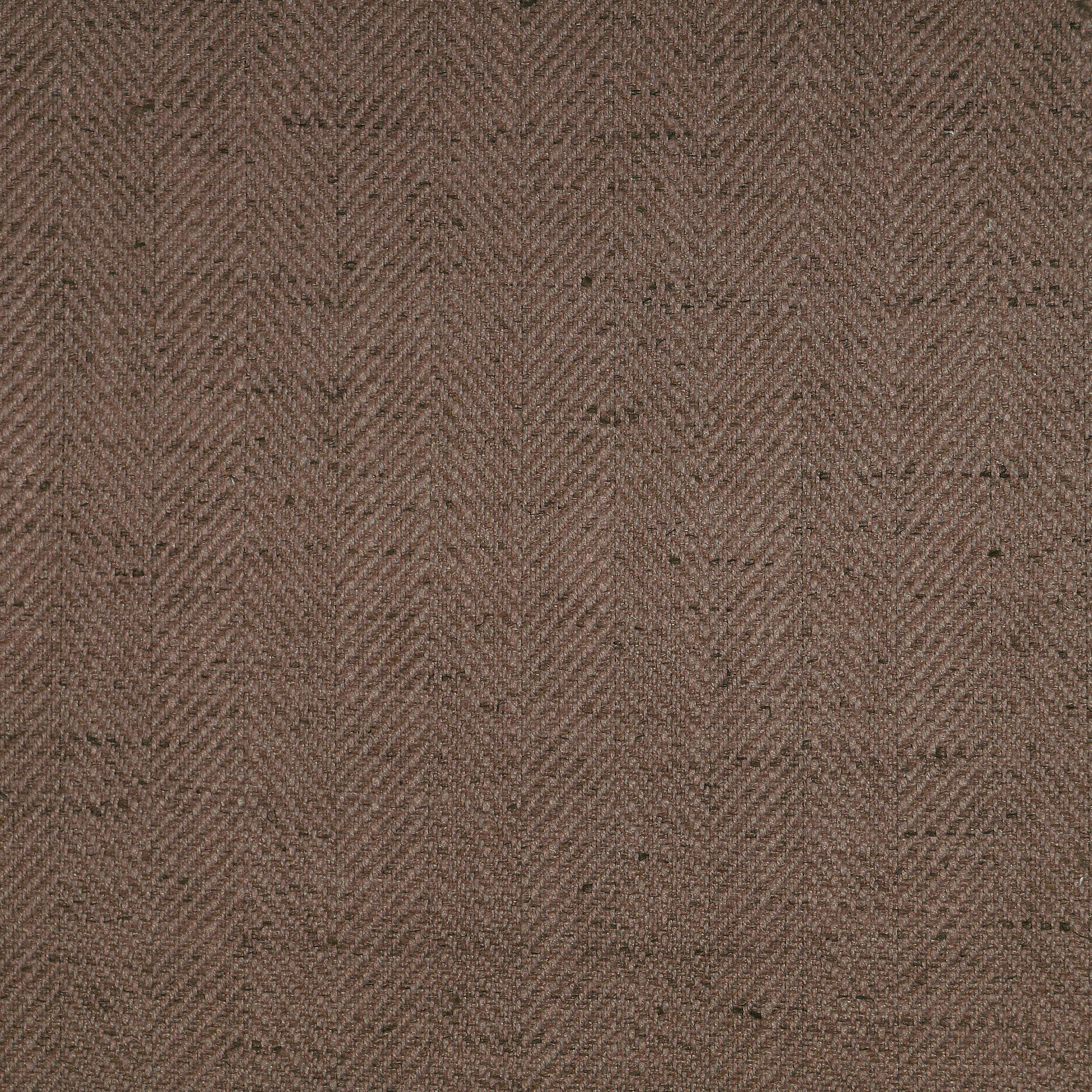 Nile 312
