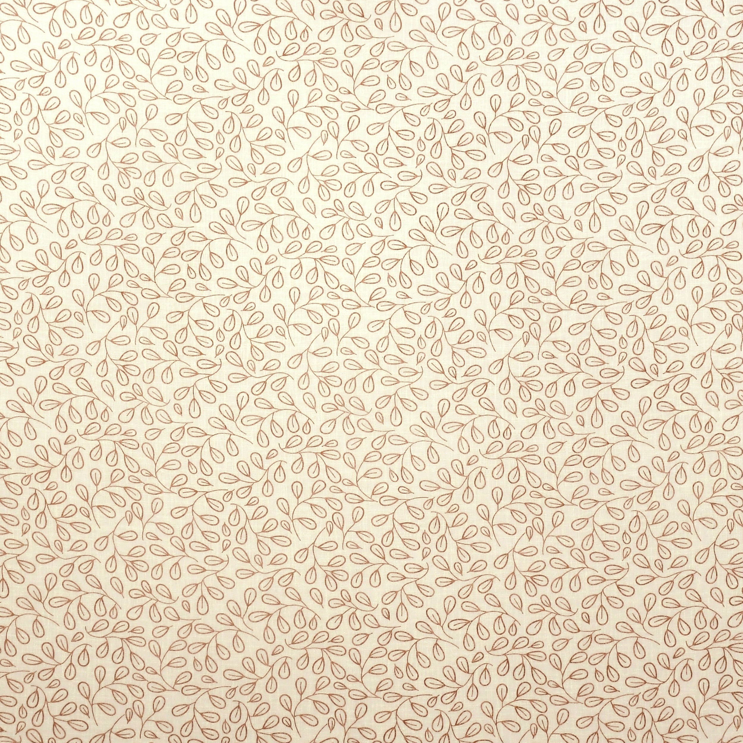 Palash 202